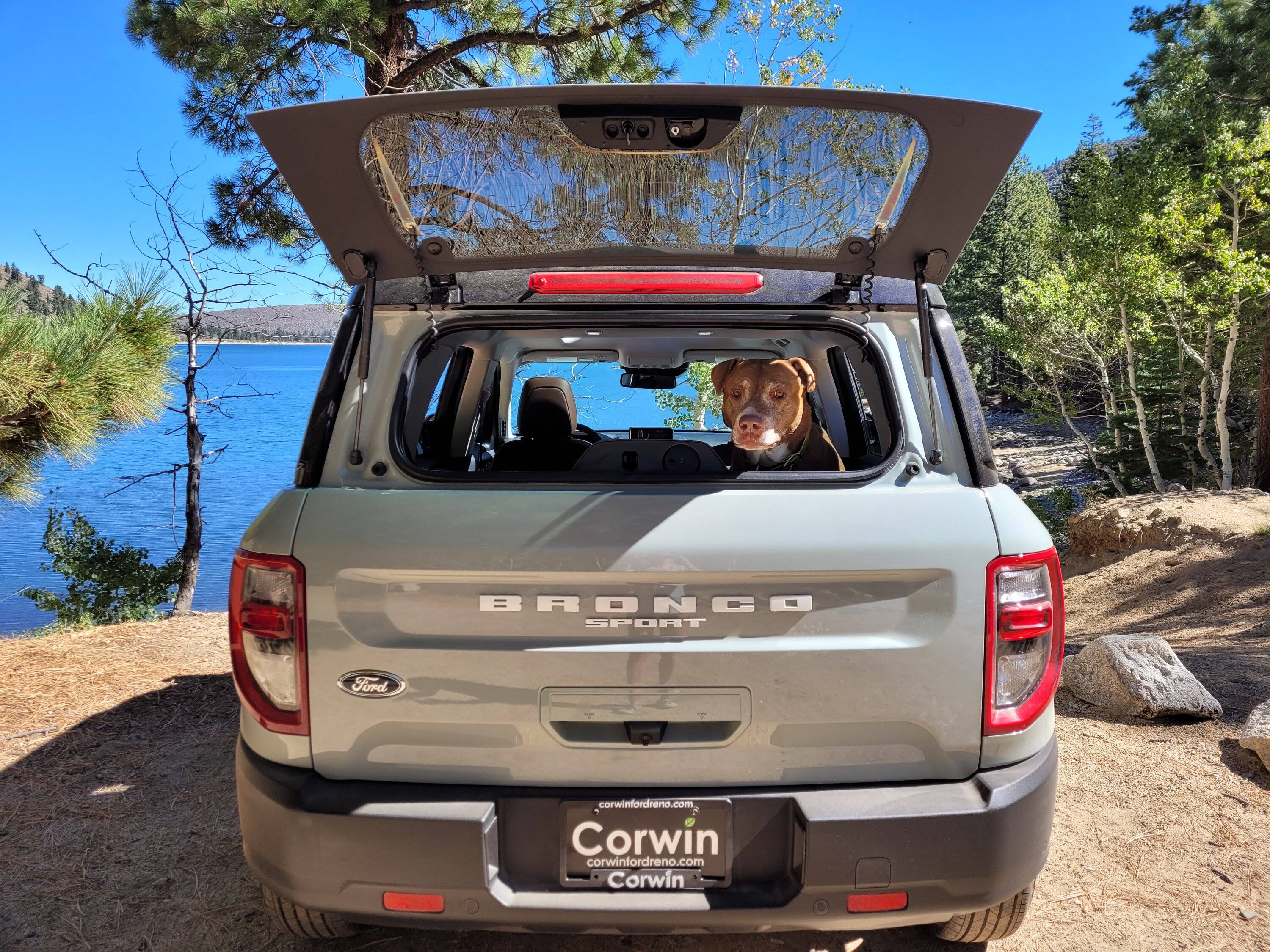 Ford Bronco Sport Show me your dogs!! 20220924_111242