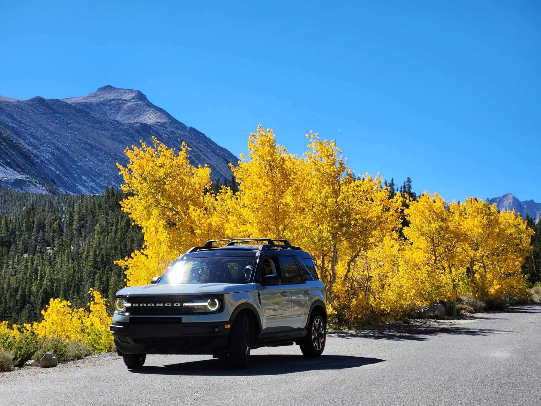 Ford Bronco Sport Let's see those Fall Foliage pictures Resized_20220930_105822(1)