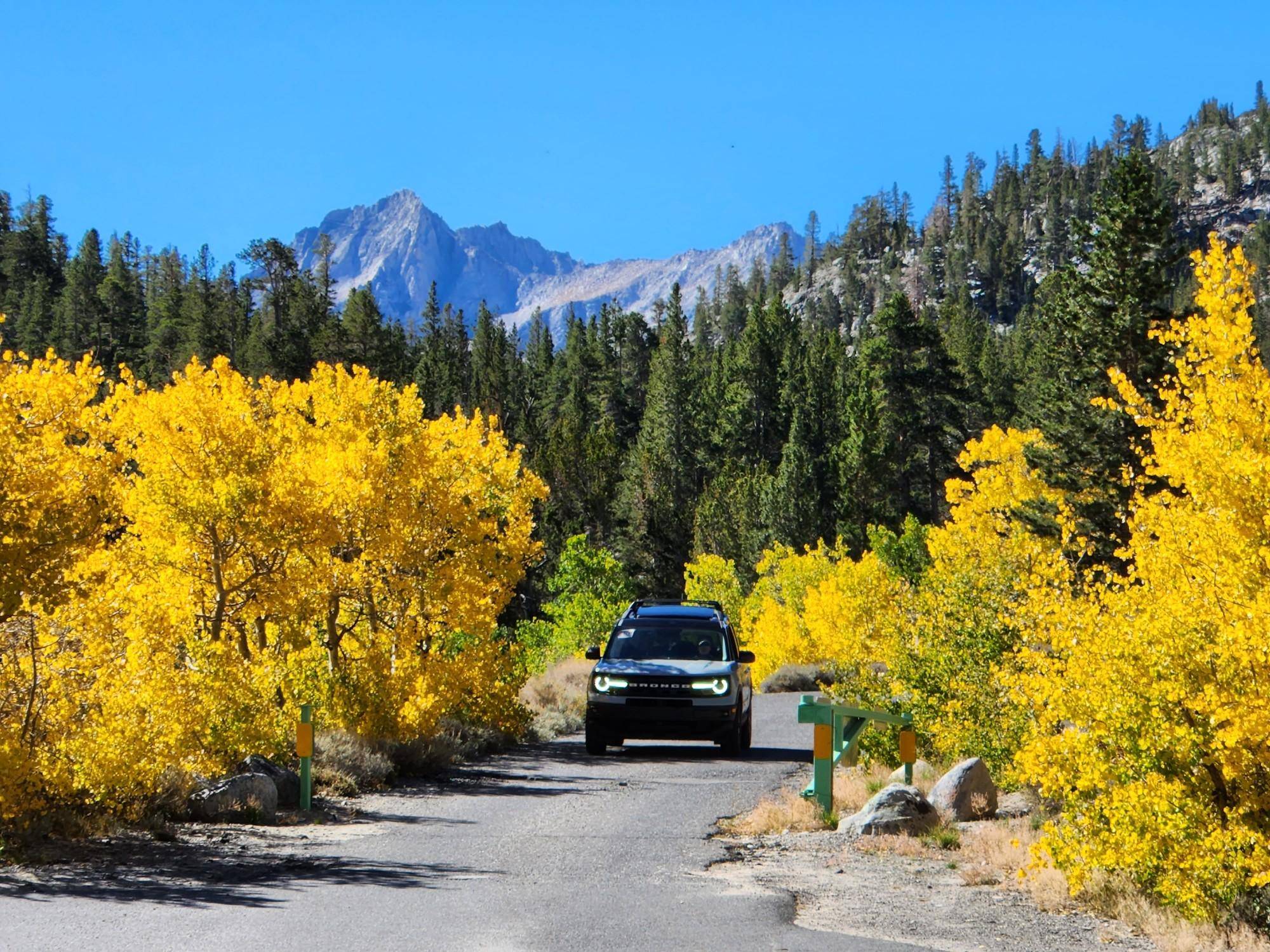 Ford Bronco Sport Let's see those Fall Foliage pictures Resized_20220930_105807(1)
