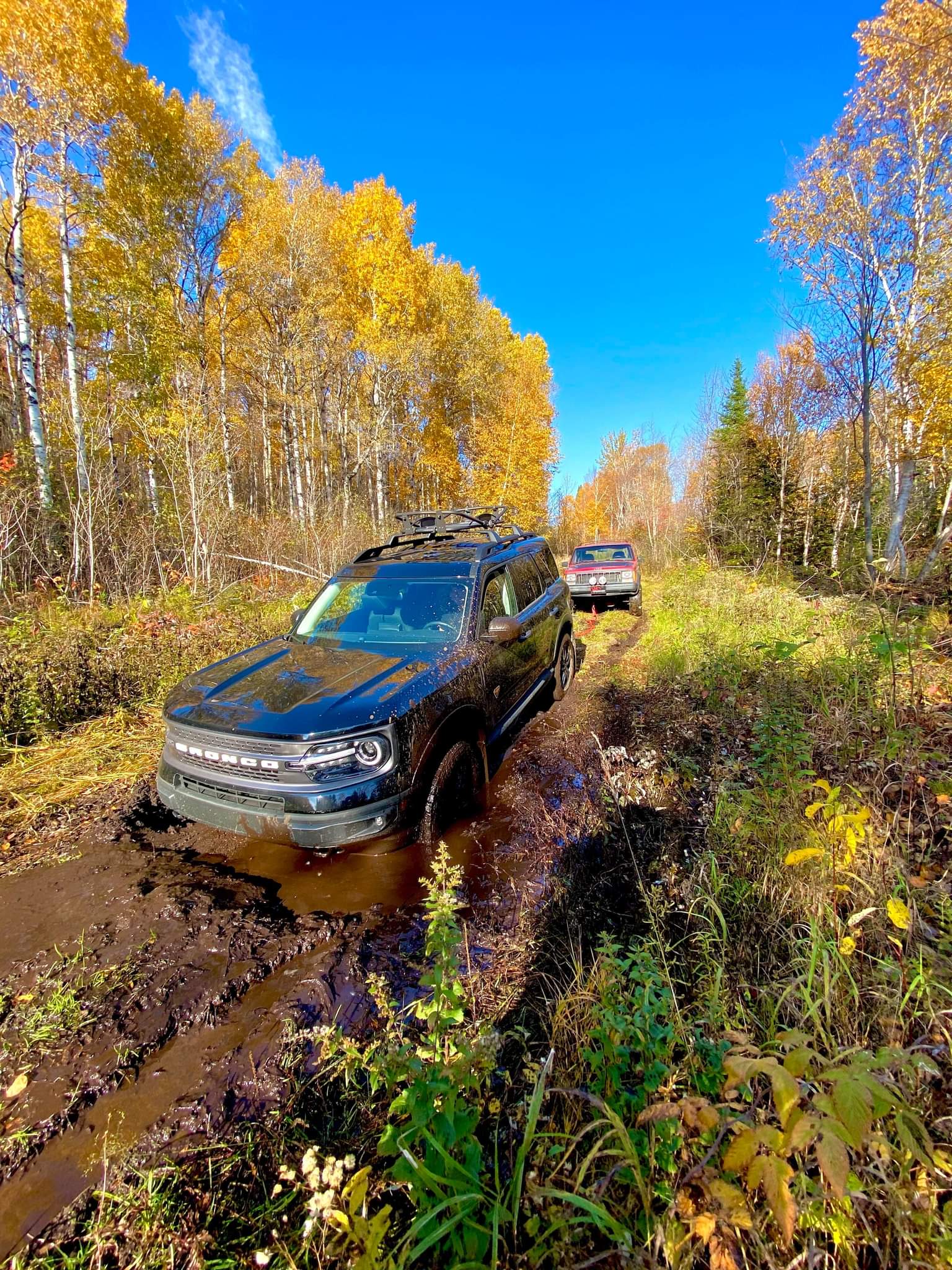 Ford Bronco Sport Let's see those Fall Foliage pictures received_869094537419114
