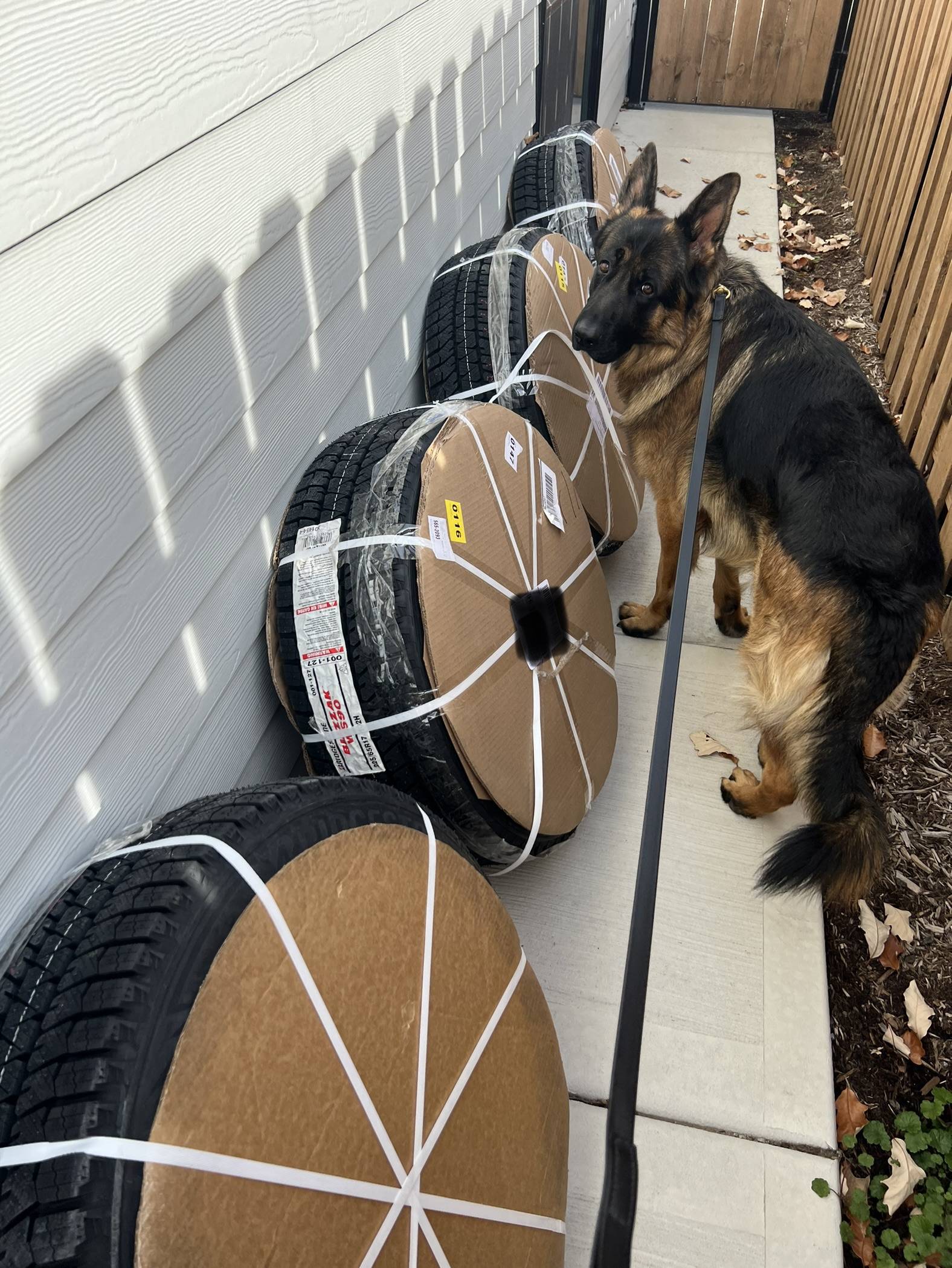 Ford Bronco Sport What did you do TO your Bronco Sport today? 3047489F-1542-4816-8CB6-C6B25D0EF207