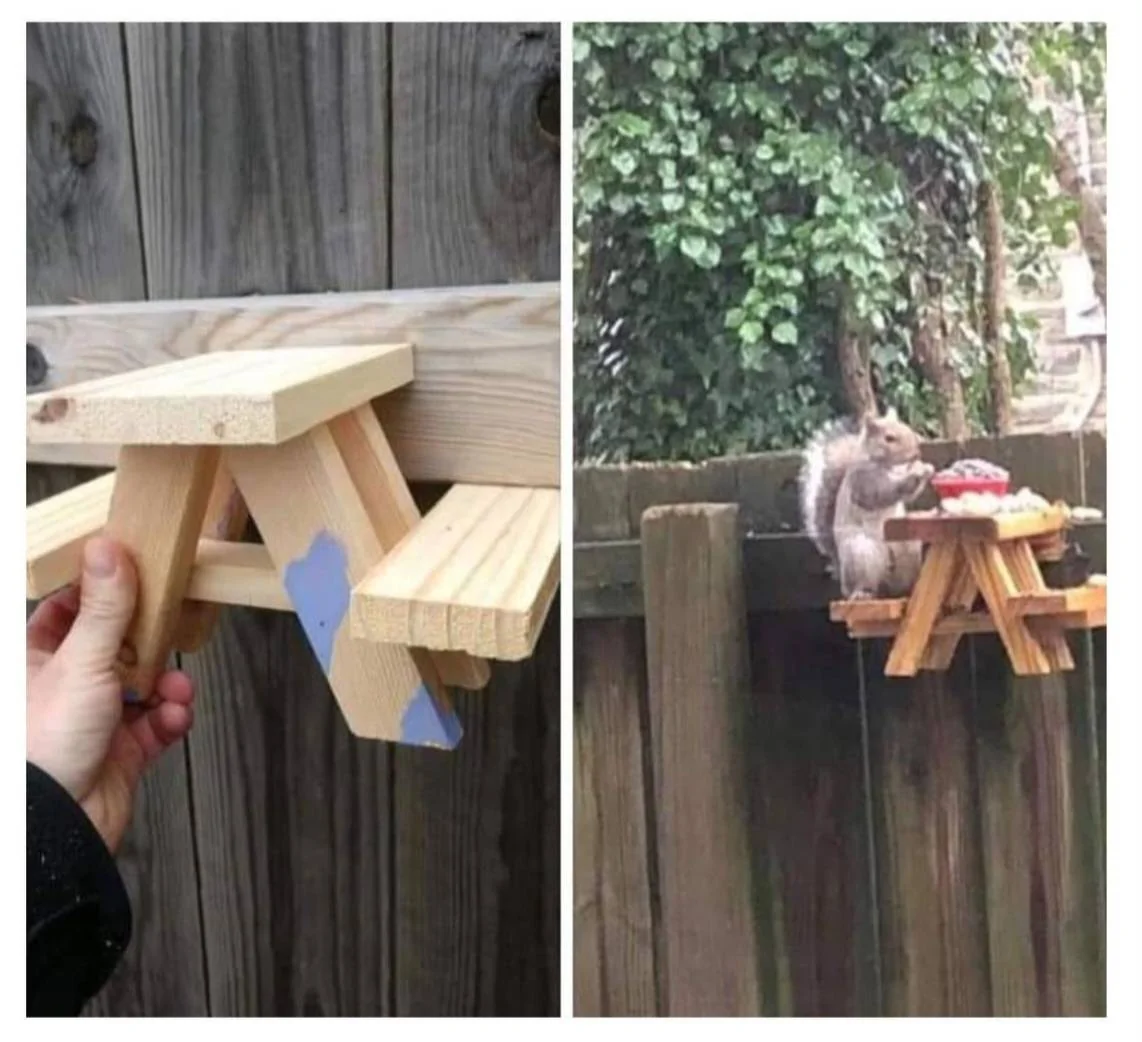 Ford Bronco Sport Rat/mouse problem Screenshot_20221029_195320_Instagram