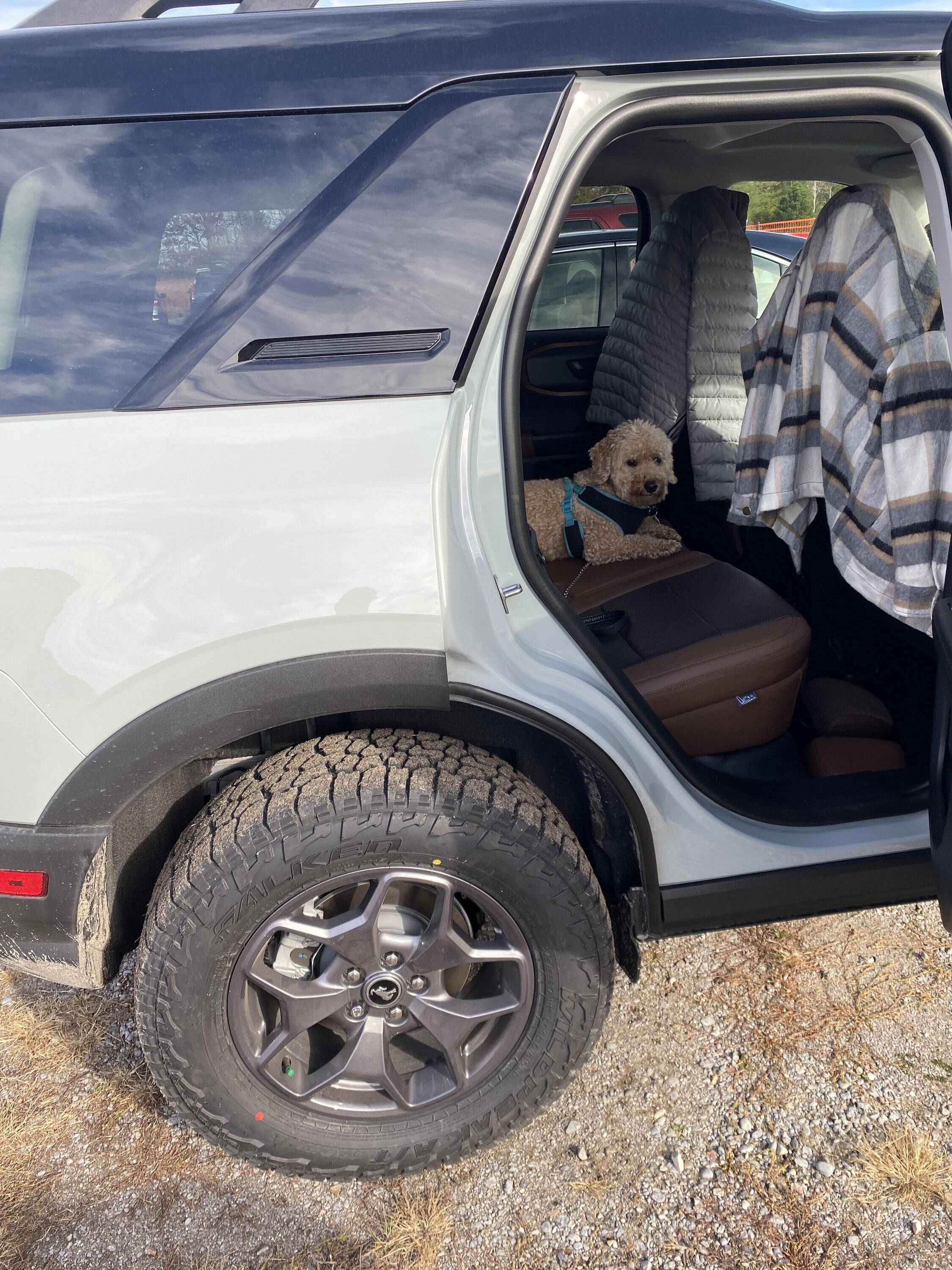 Ford Bronco Sport Say Hello and Introduce Yourself! ? IMG_0619