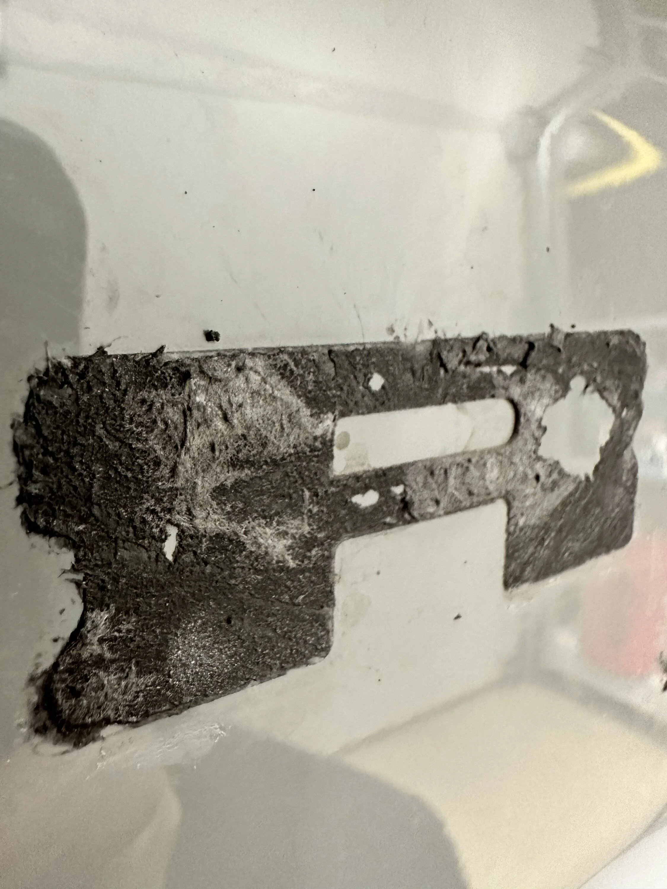 Ford Bronco Sport Olive - Meanderthal’s BS BL 1667437485474