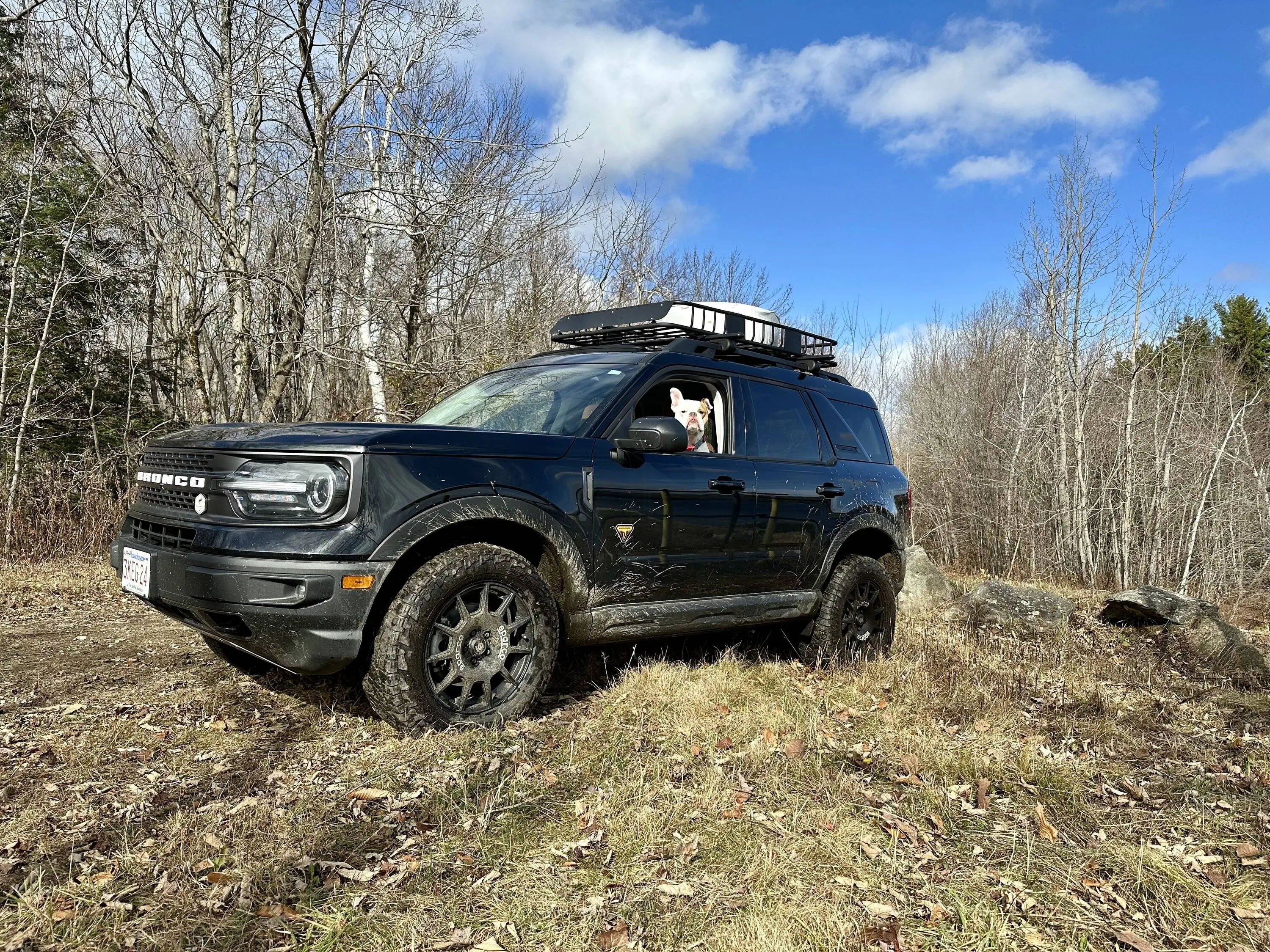 Ford Bronco Sport What did you do TO your Bronco Sport today? 7A0F9750-CCF2-451E-8886-2852B2DA4519
