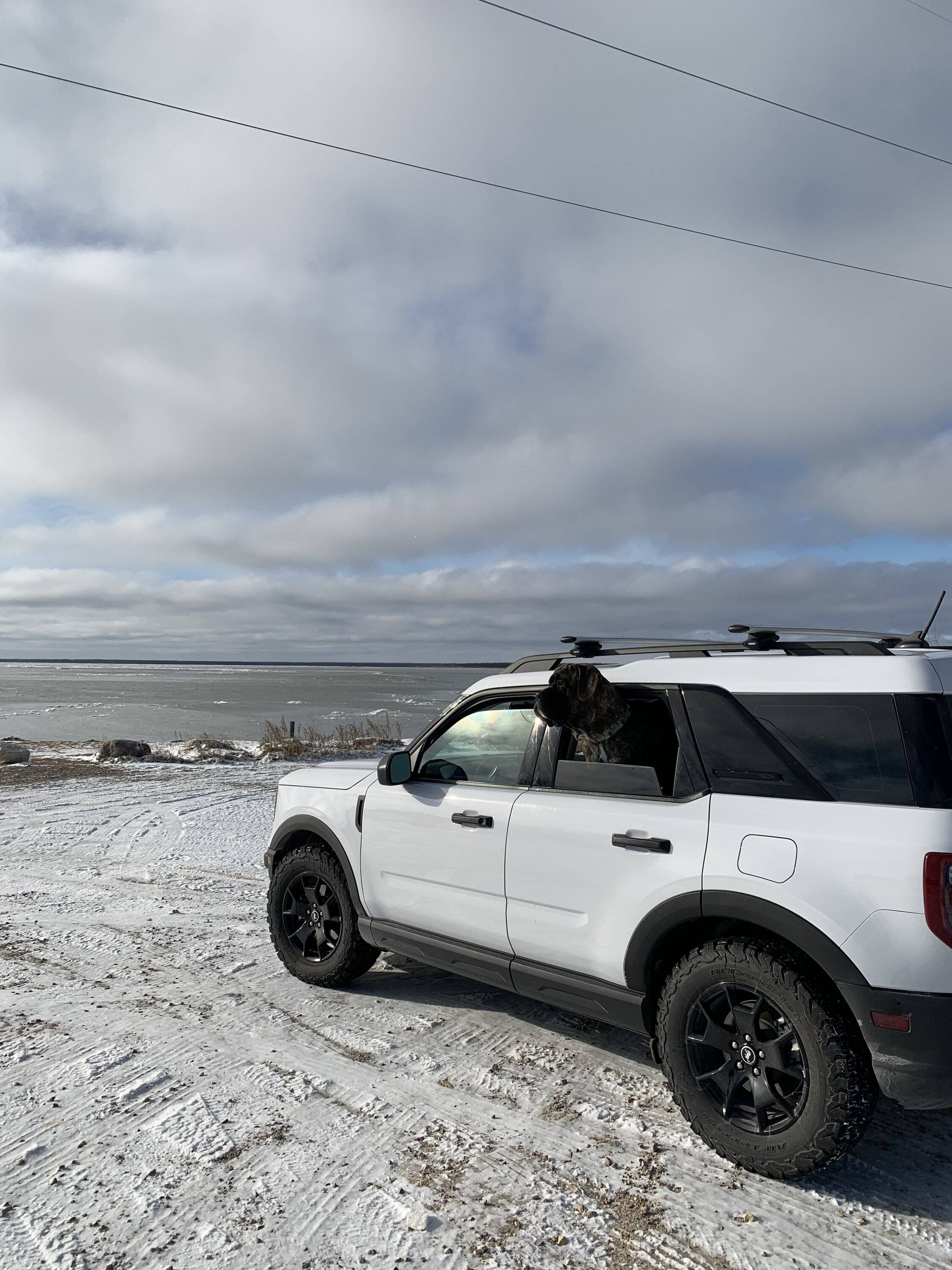 Ford Bronco Sport Post the best photos you've got of your Bronco Sport 8A65727F-E59F-4120-8122-9A7D3EEF67E1