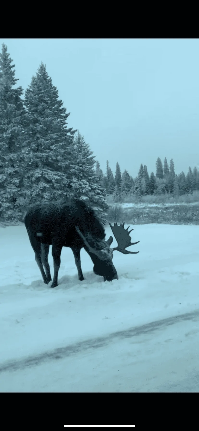 Ford Bronco Sport Post the best photos you've got of your Bronco Sport BEDFDE2F-D589-4241-B750-176CD268DB3A