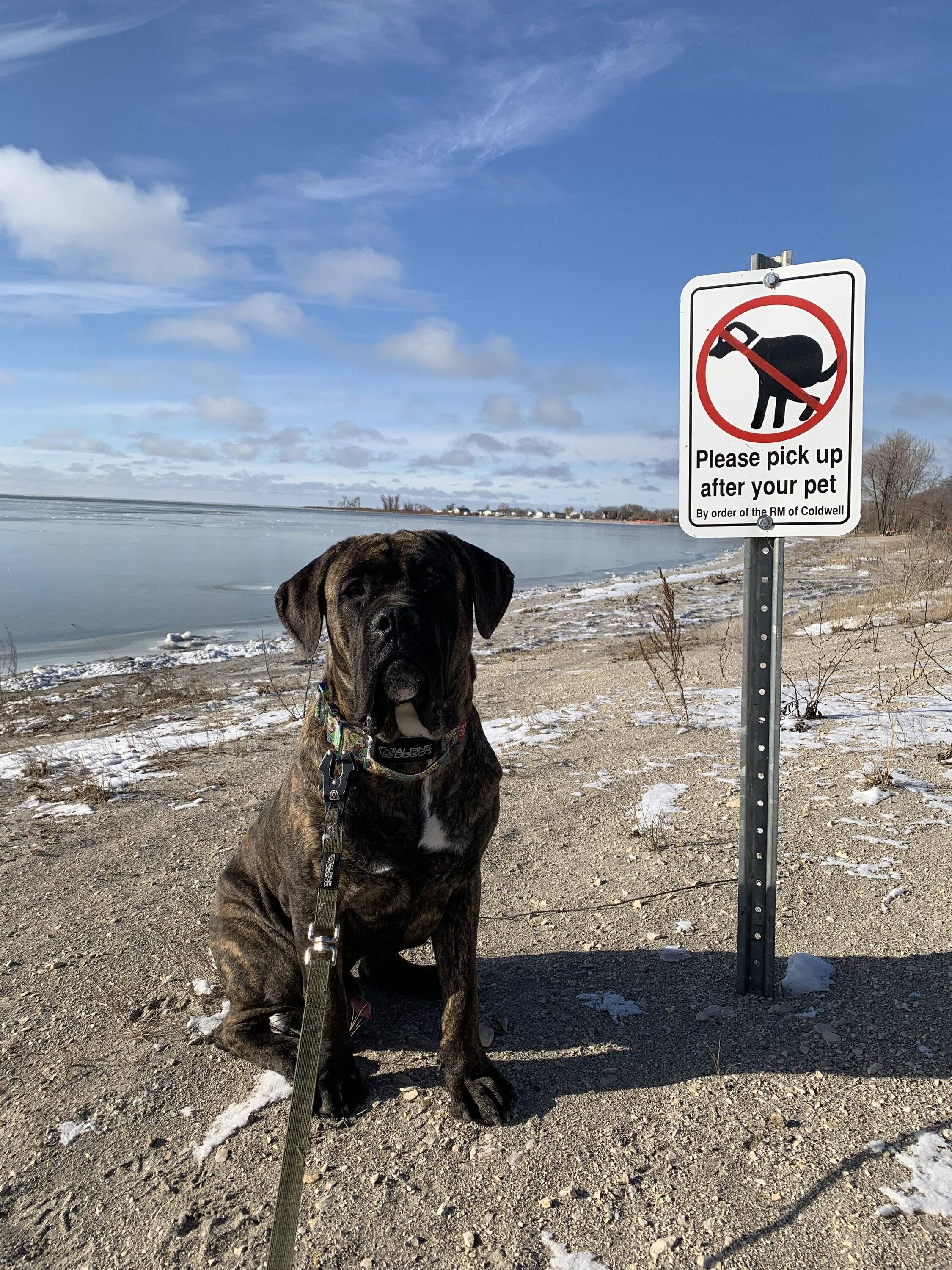 Ford Bronco Sport Post the best photos you've got of your Bronco Sport 1AD89053-48CD-4240-9C33-FFE534C68D94