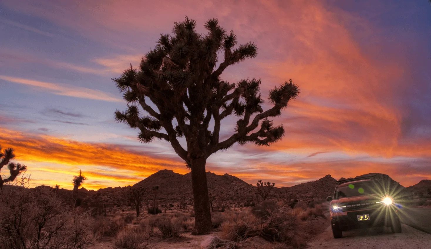 Ford Bronco Sport Post the best photos you've got of your Bronco Sport 1668351273545