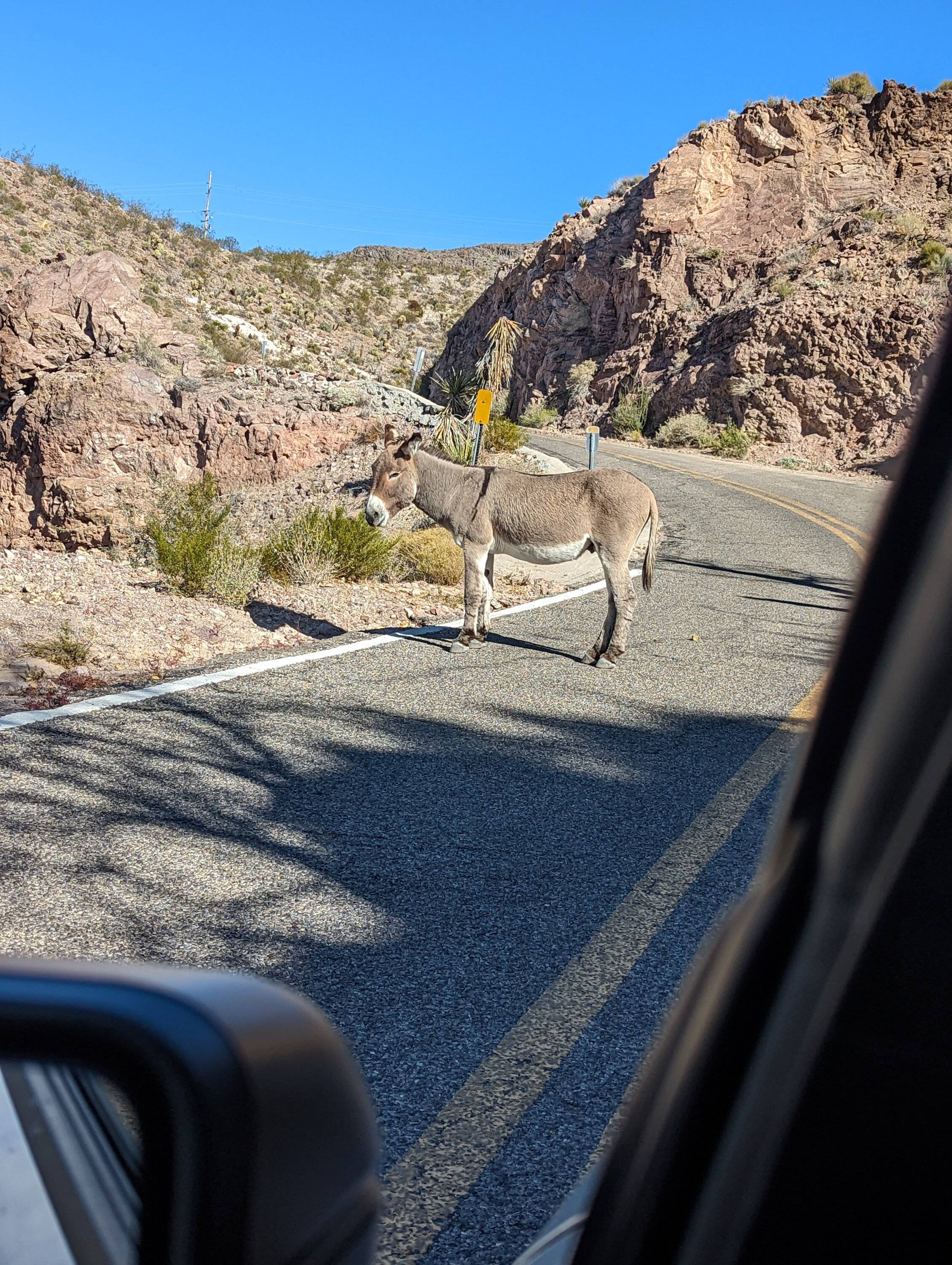 Ford Bronco Sport 20mm wheel spacers installed PXL_20221127_201630501.MP