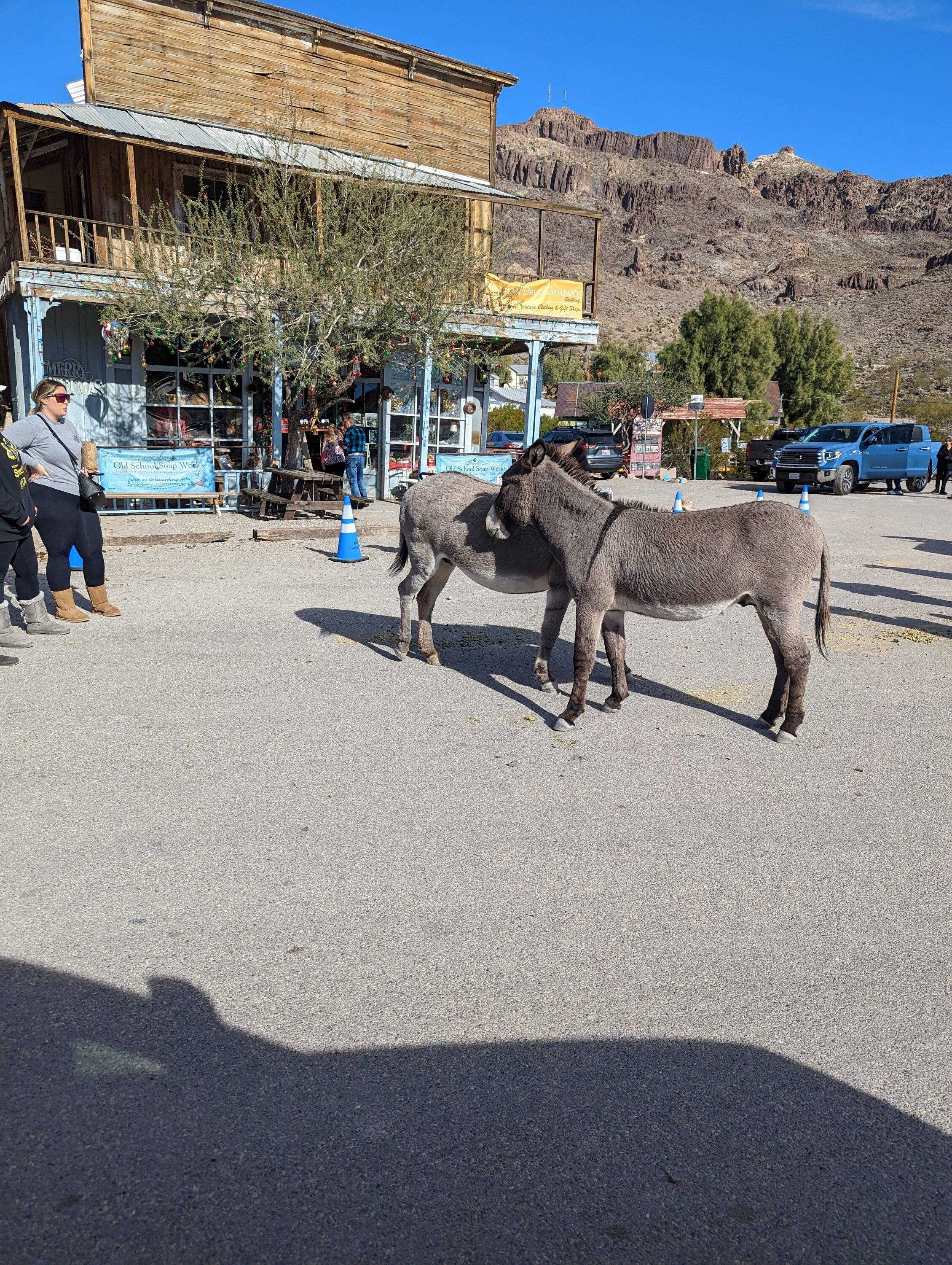 Ford Bronco Sport Post the best photos you've got of your Bronco Sport PXL_20221127_205918669.MP