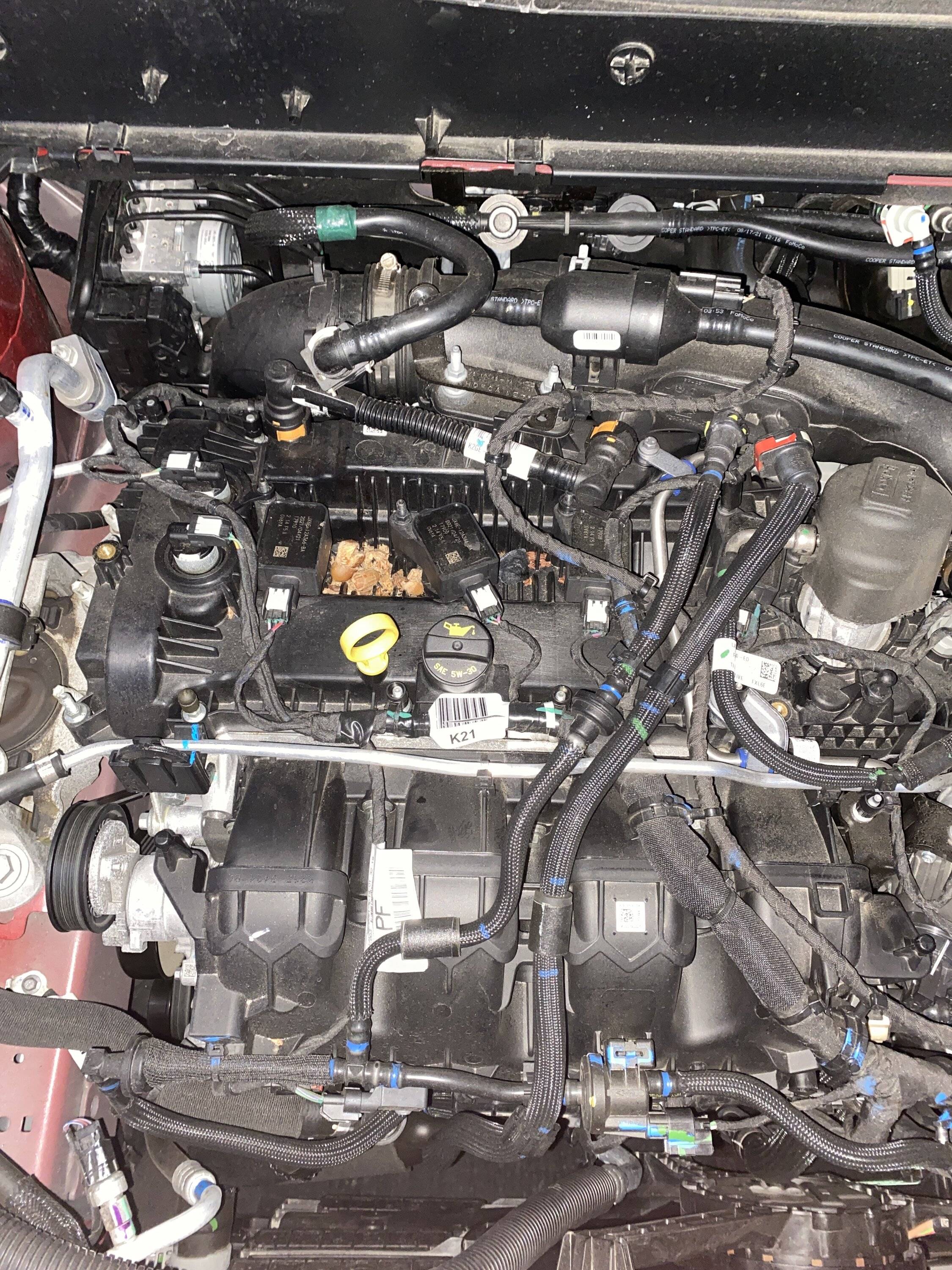 Ford Bronco Sport Engine Cover for the 2.0 Question IMG_9617.JPG