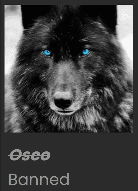 Ford Bronco Sport Windshield and rear wipers 1670461329053