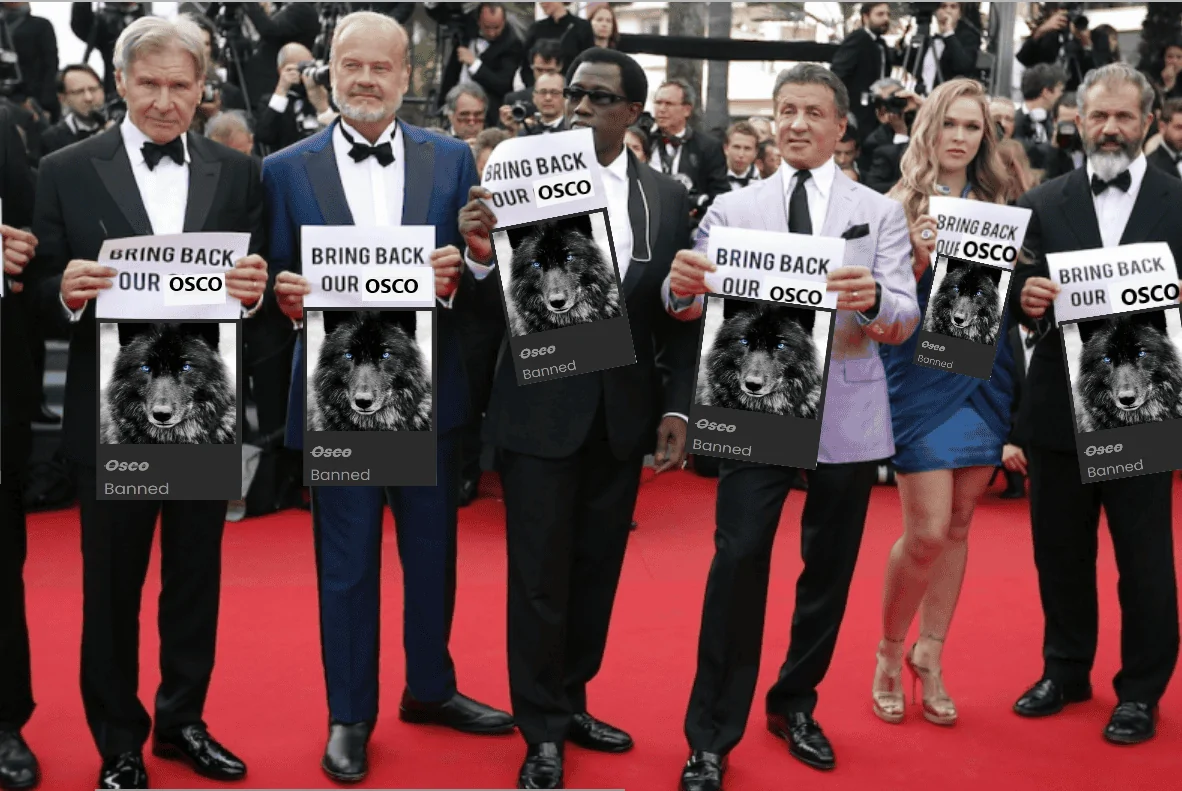 Ford Bronco Sport Windshield and rear wipers 1670463284128