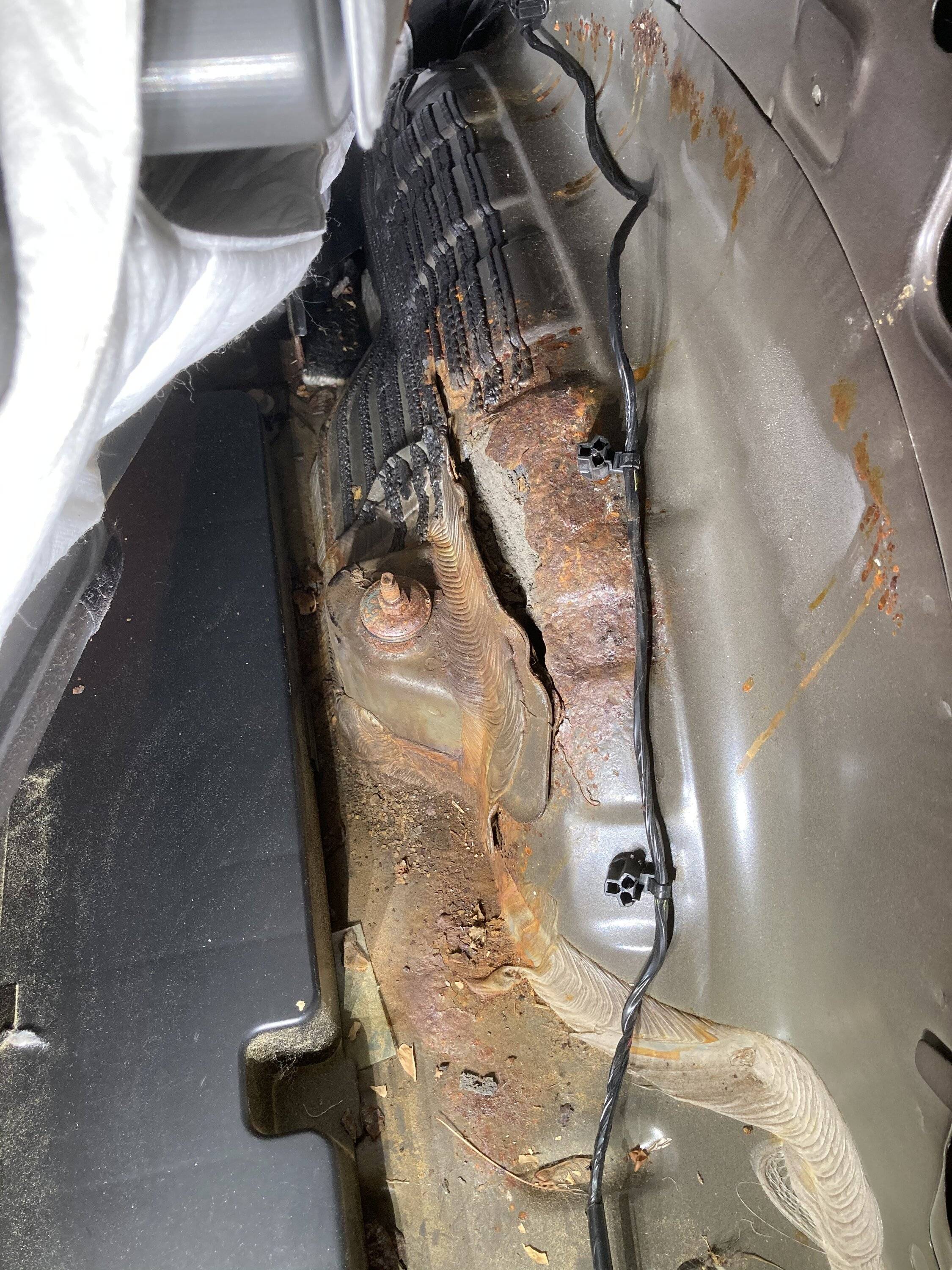 Ford Bronco Sport Removing SPORT Badge E9C622AD-FA44-4BCD-A644-2329DEDF3F98