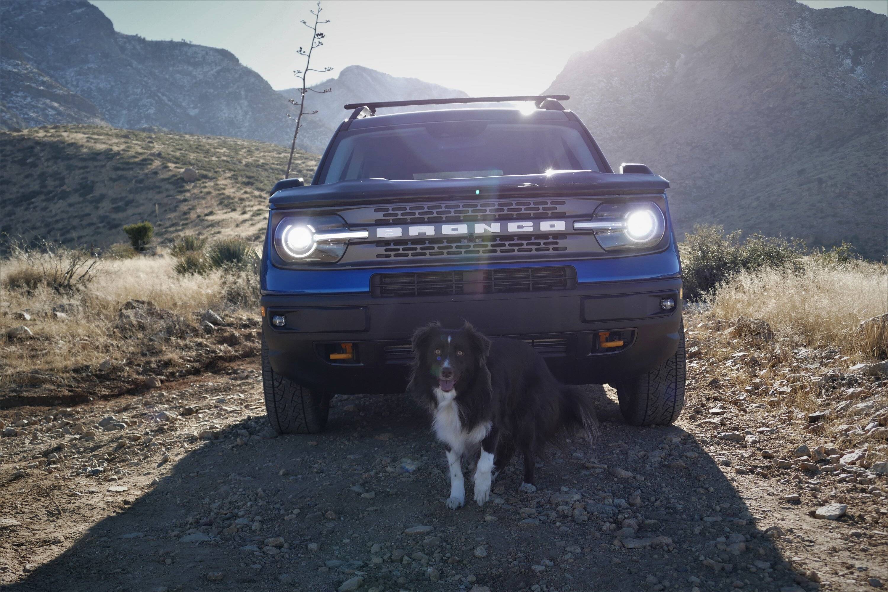 Ford Bronco Sport T'was the night before Christmas... Maplebronc2.JPG