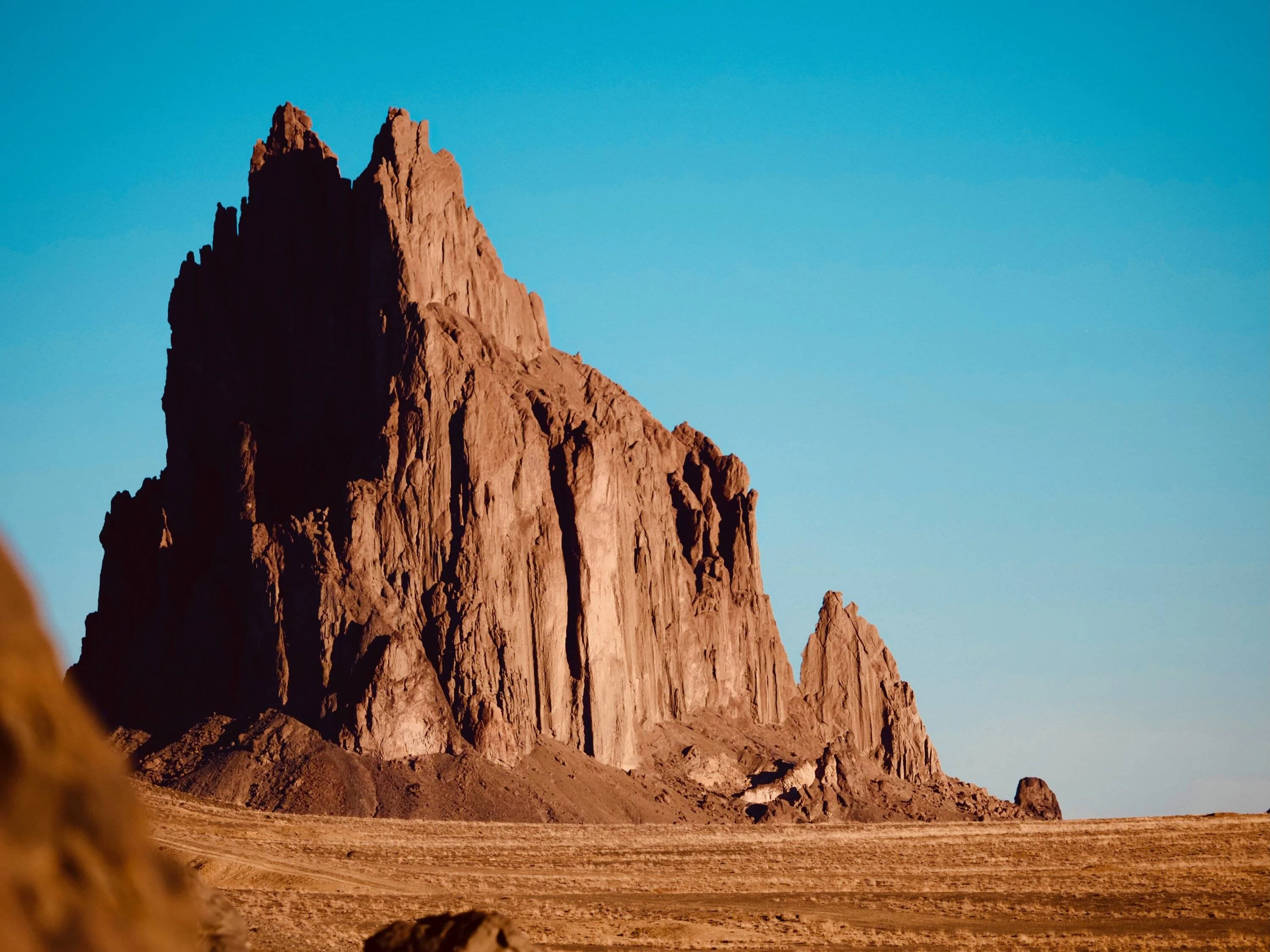Ford Bronco Sport What did you do TO your Bronco Sport today? IMG_7904