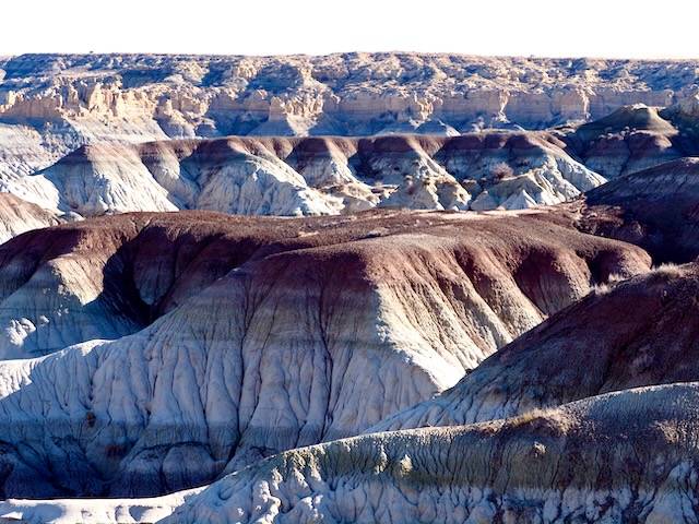 Ford Bronco Sport What did you do TO your Bronco Sport today? IMG_7986