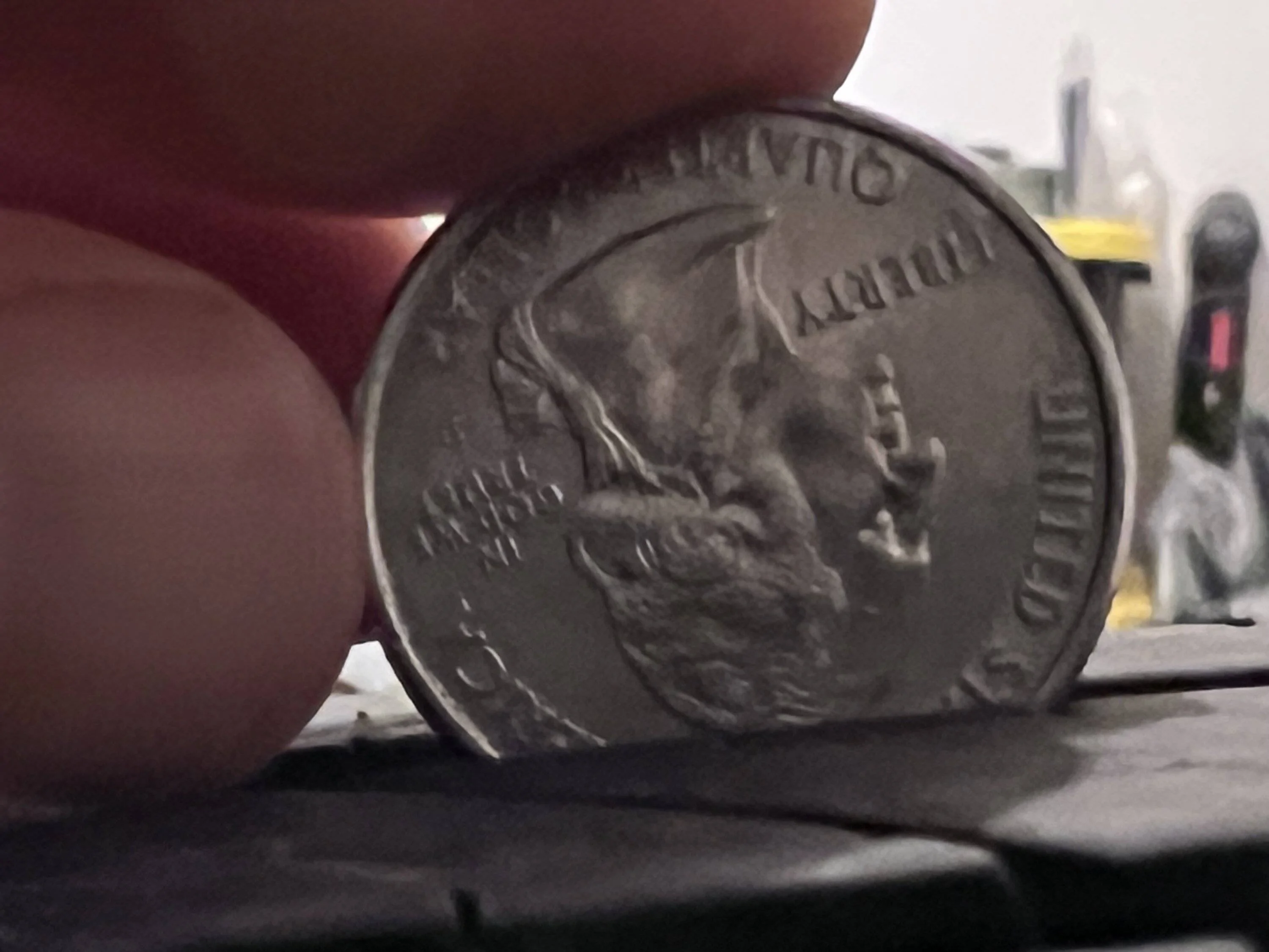 Ford Bronco Sport Michelin Primacy 15K Miles IMG_2950