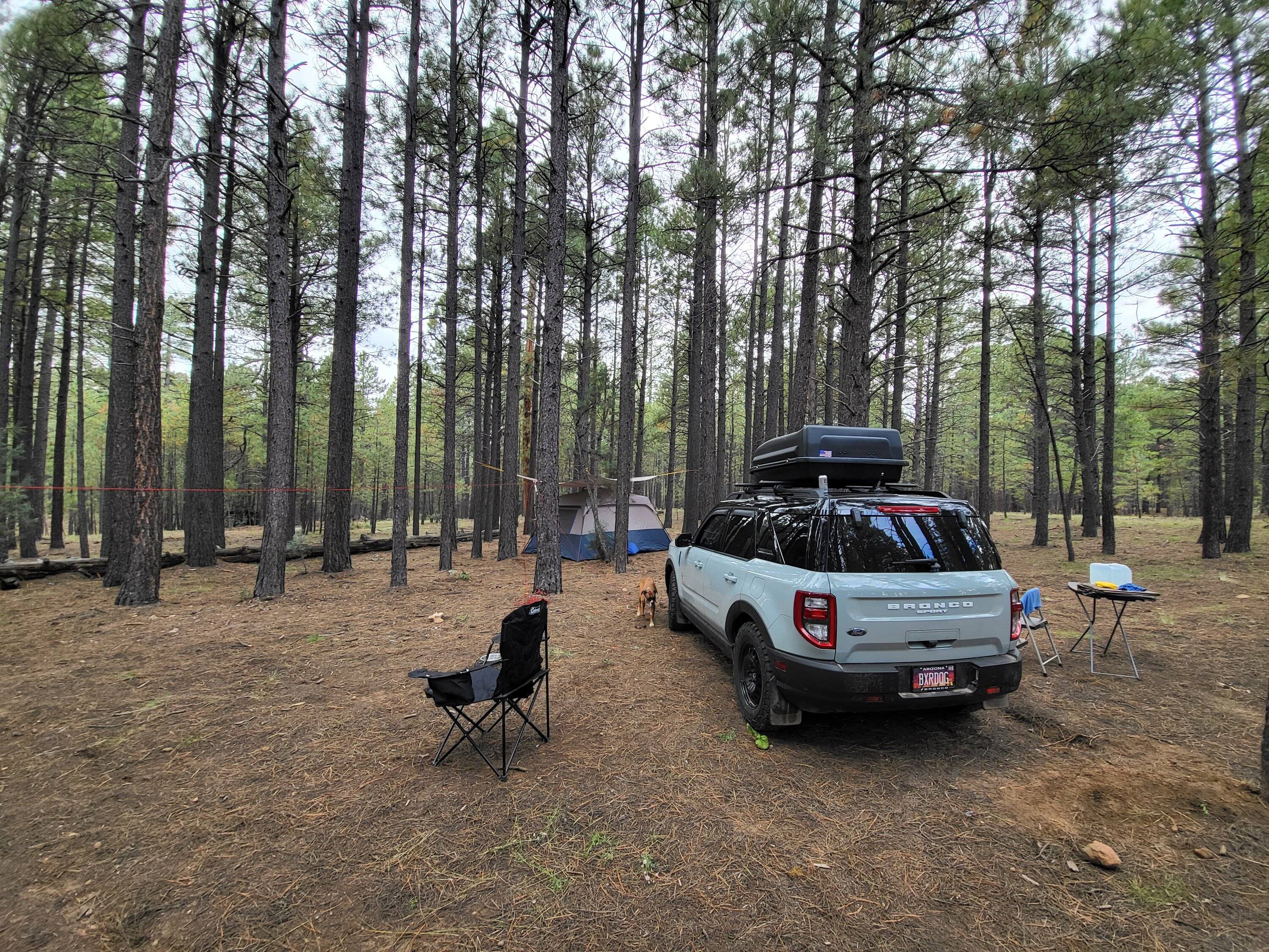 Ford Bronco Sport How good will the non-Badlands trims be at off-roading? 20221006_134054