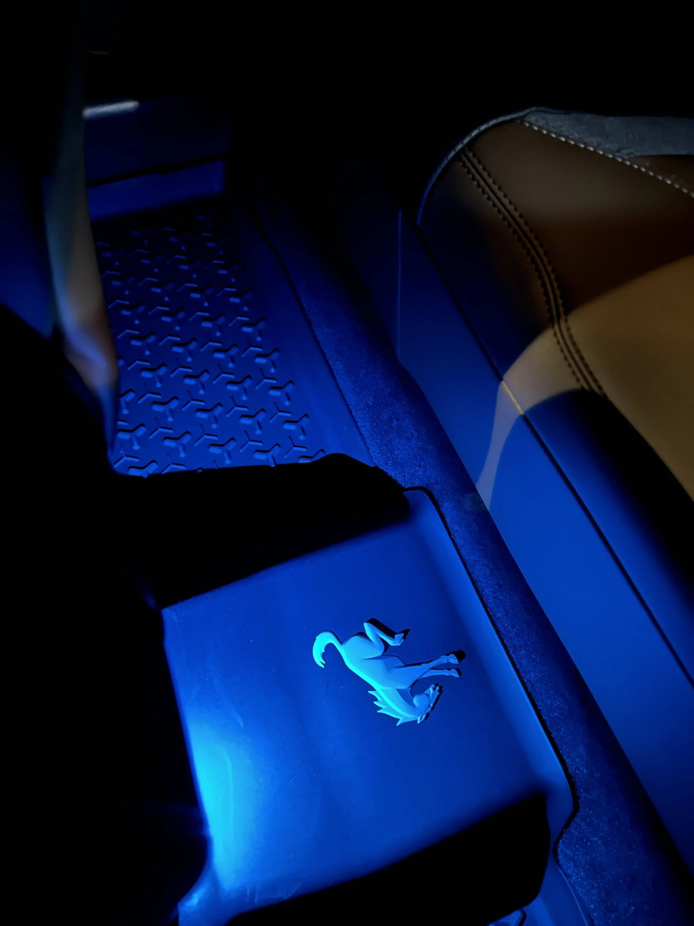 Ford Bronco Sport What did you do TO your Bronco Sport today? 0375A516-6551-476D-B27F-ABEACFC57C35