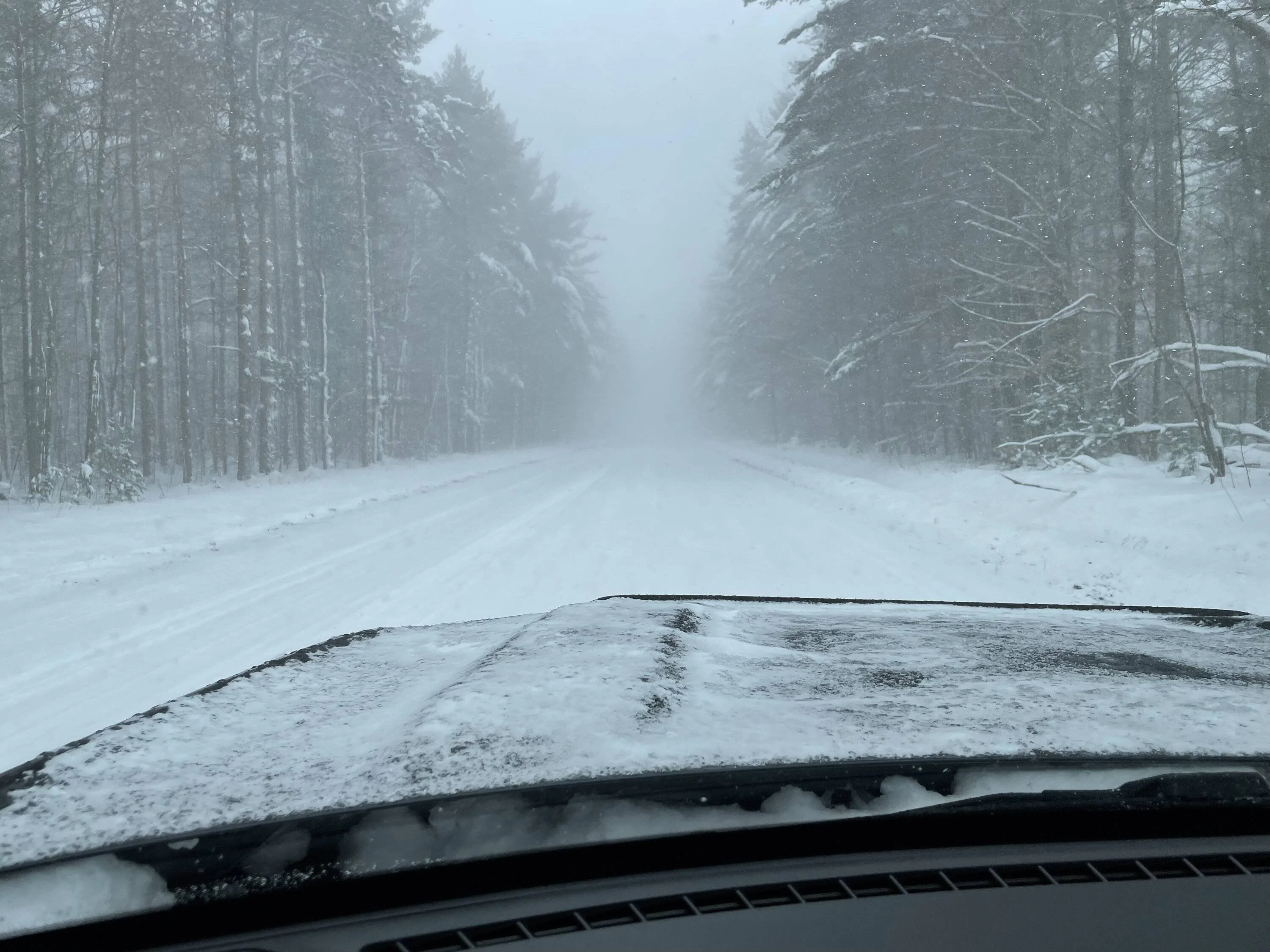 Ford Bronco Sport It's Days Like Today... E427F6EF-0EFC-4F46-B563-2FAFEDC1625D