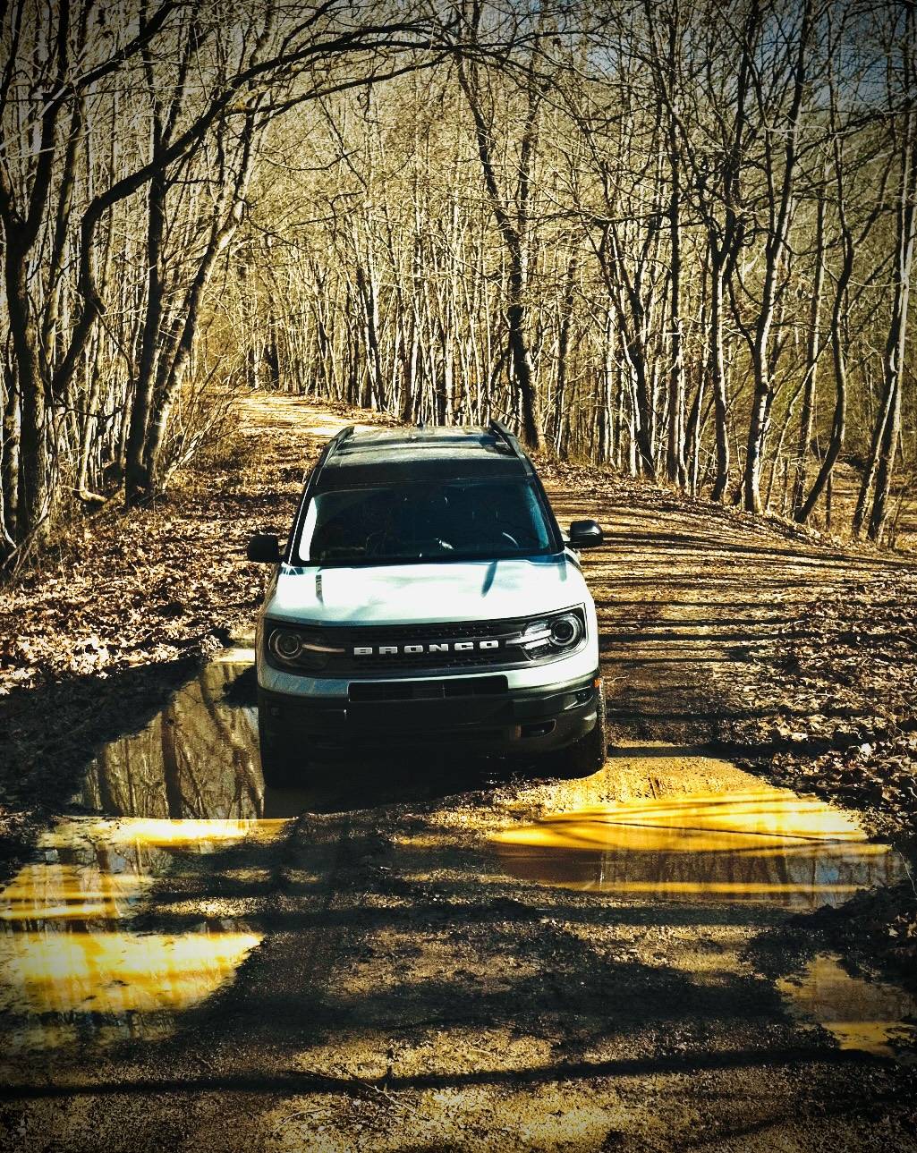 Ford Bronco Sport Official CACTUS GRAY Bronco Sport Thread 6062D9B5-4233-4E62-87C3-8A581D657D6C