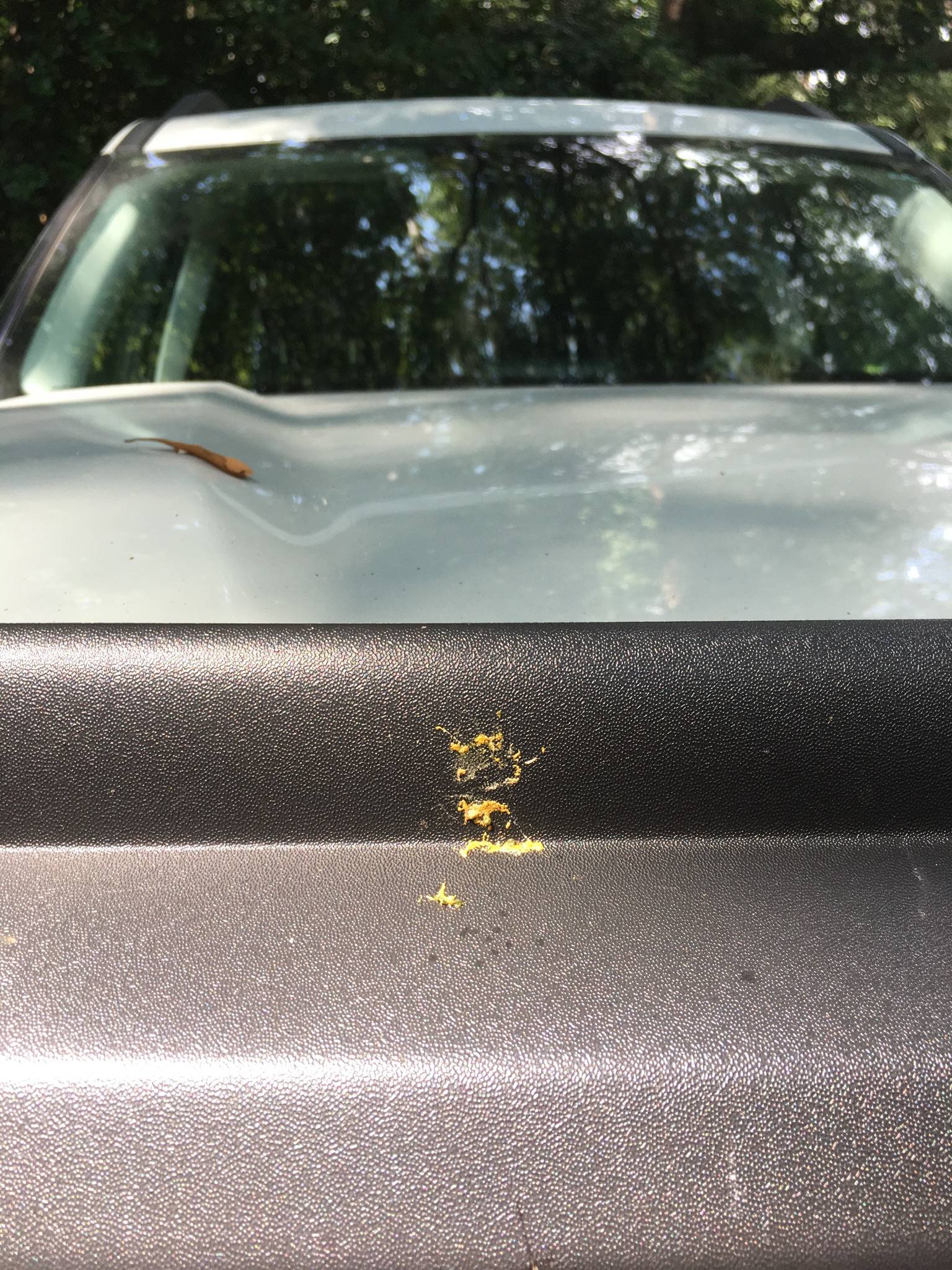 Ford Bronco Sport Closer Look At The Accessories Rear Cargo Organizer, Sunvisor Organizer, Owners Manual, Key Fob Cover, Key Cover 9E38E7C9-114C-4851-ACD4-C90FC54F49DA