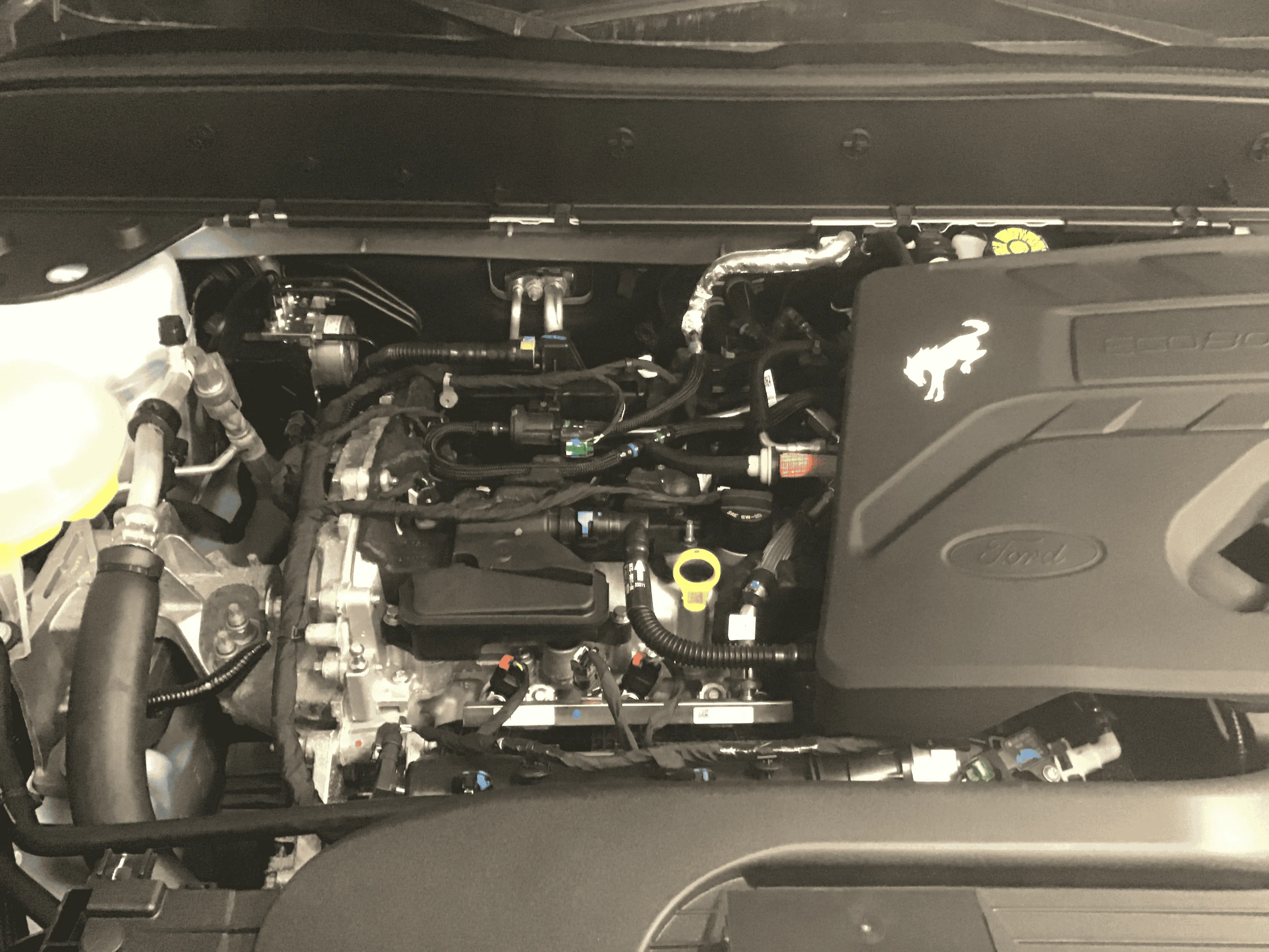 Ford Bronco Sport What did you do TO your Bronco Sport today? tempImagev13FHr