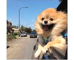 Ford Bronco Sport Driving in wind (no good) 1675740915681