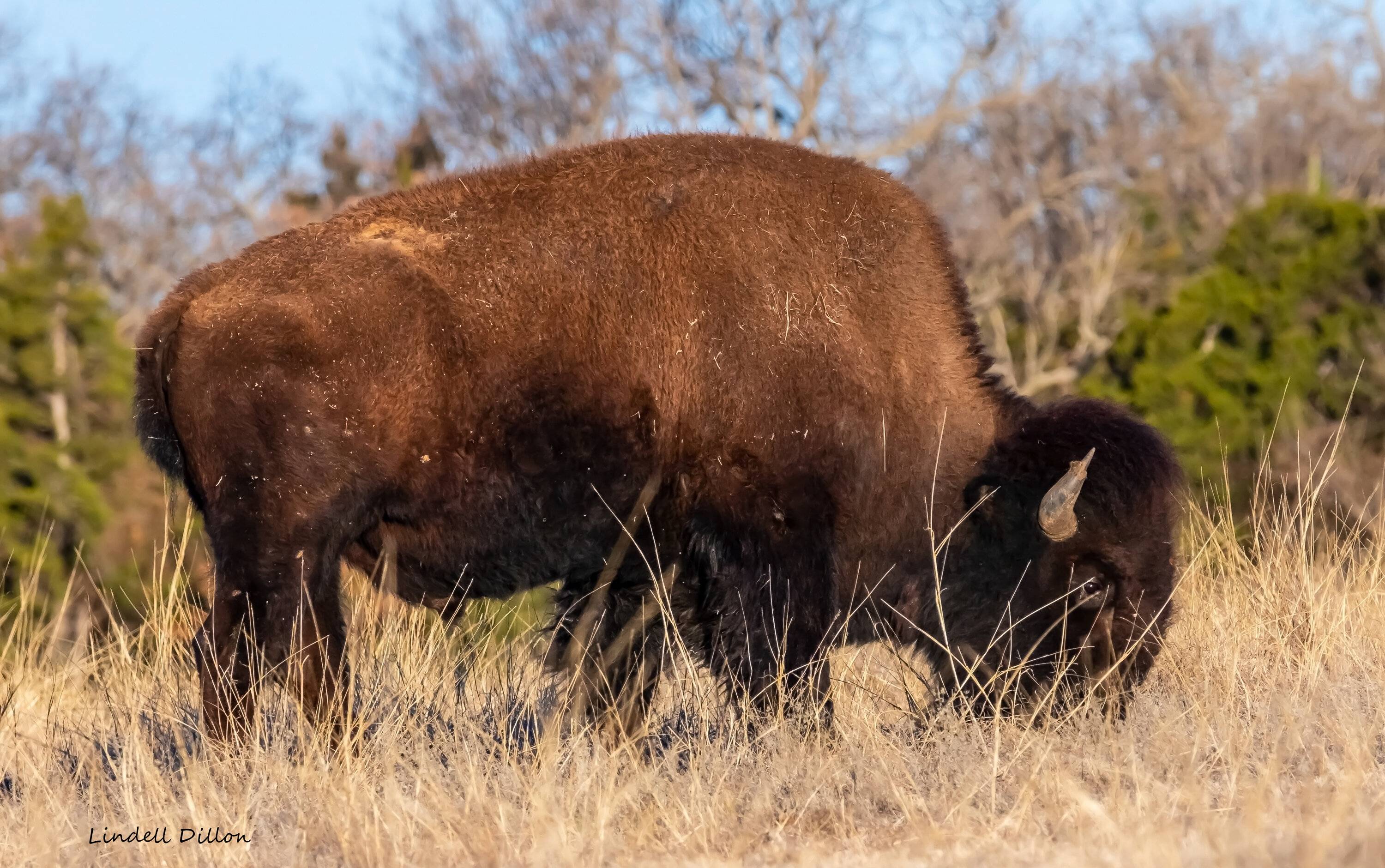 Ford Bronco Sport Post the best photos you've got of your Bronco Sport wichitas 024