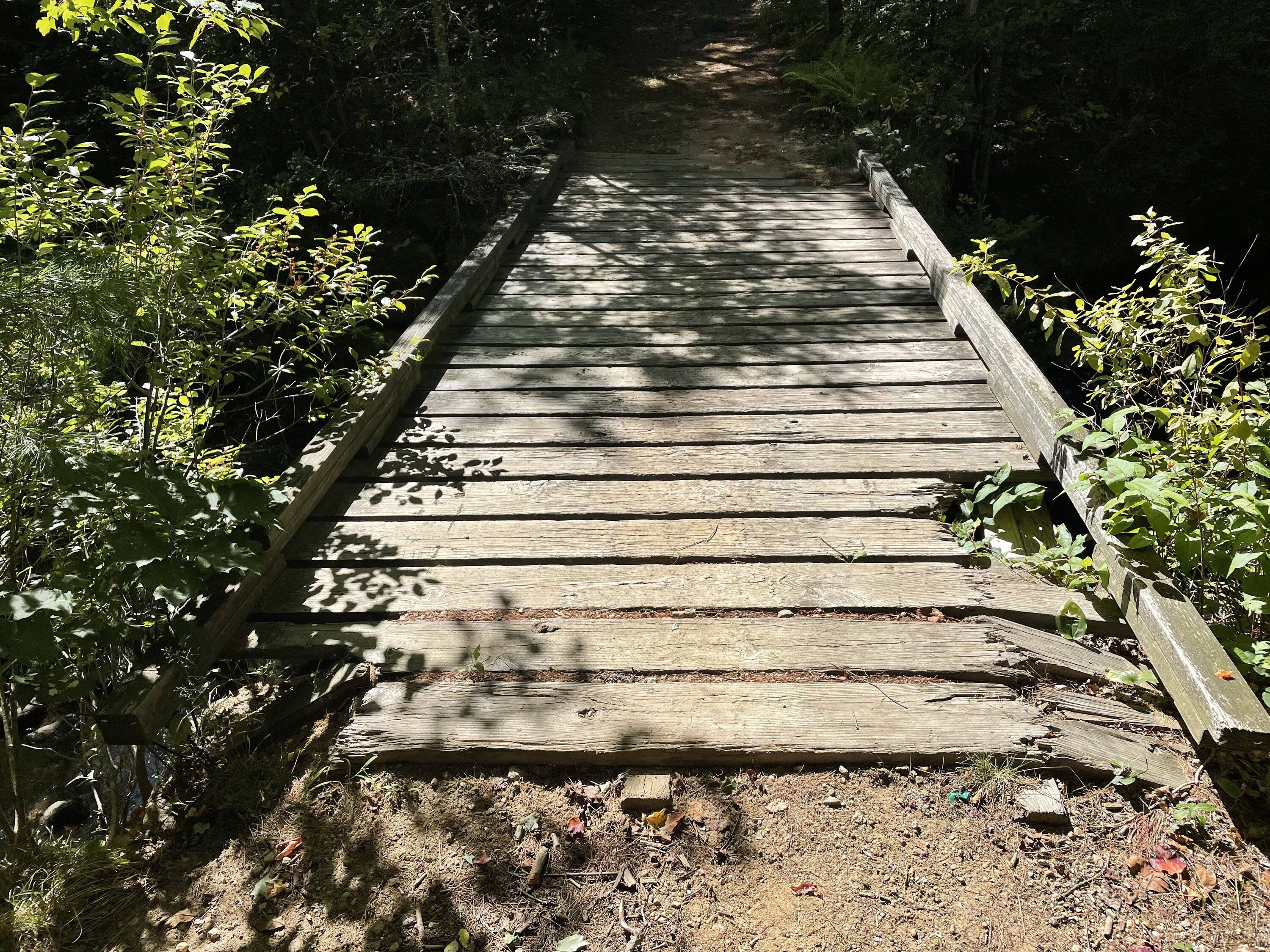 Ford Bronco Sport Offroading, Overlanding, Wheelin', and More... Share Your Stories 3489EC86-5F0D-46B3-A917-D8E19491BC79