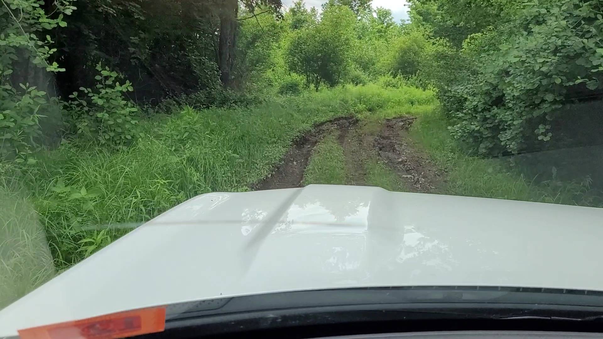 Ford Bronco Sport Offroading, Overlanding, Wheelin', and More... Share Your Stories VideoCapture_20220614-065550