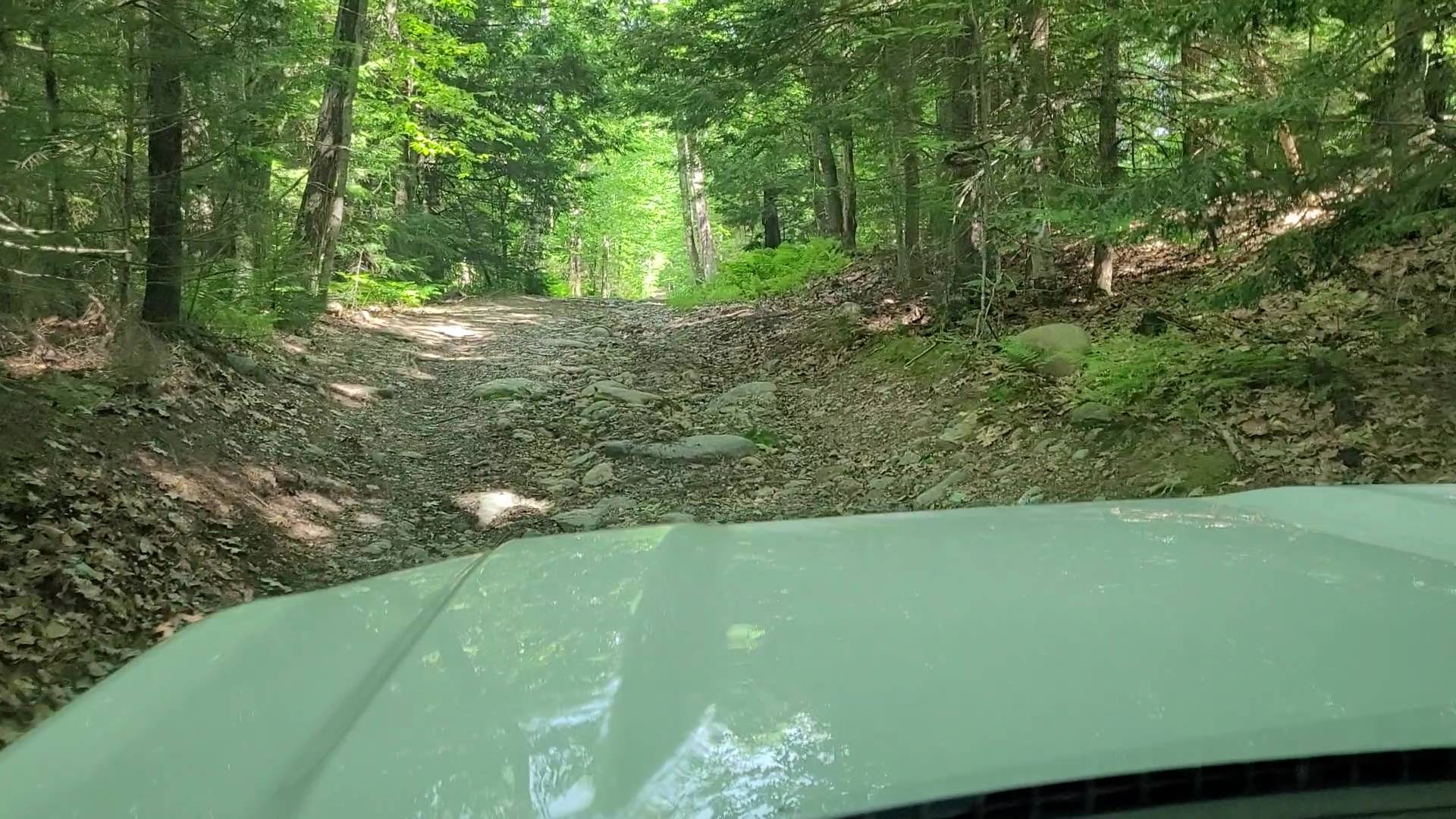 Ford Bronco Sport Offroading, Overlanding, Wheelin', and More... Share Your Stories VideoCapture_20220614-073701