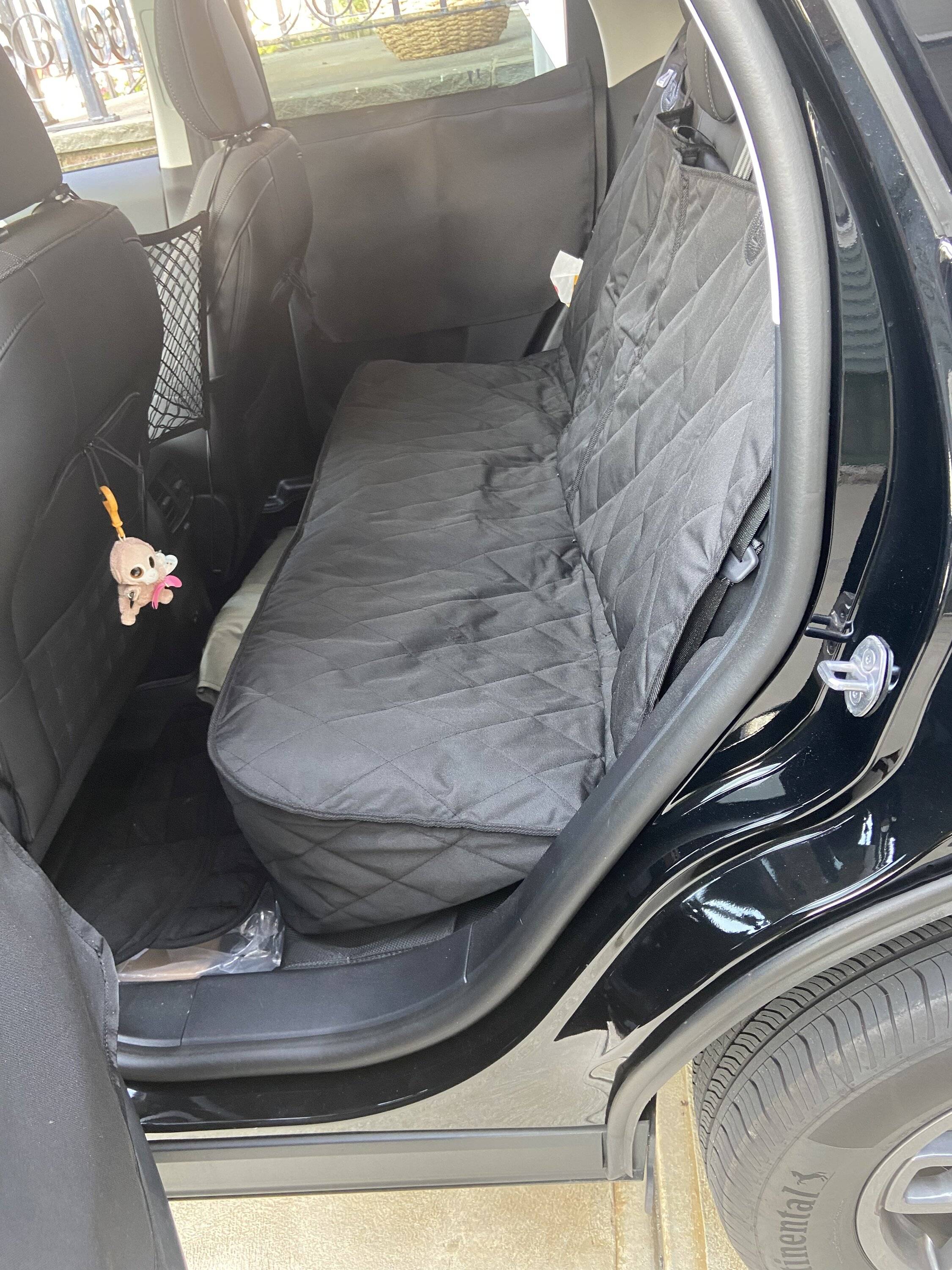 Ford Bronco Sport Show me your dogs!! 1EE87630-F952-428F-AD66-5F5901E841EE