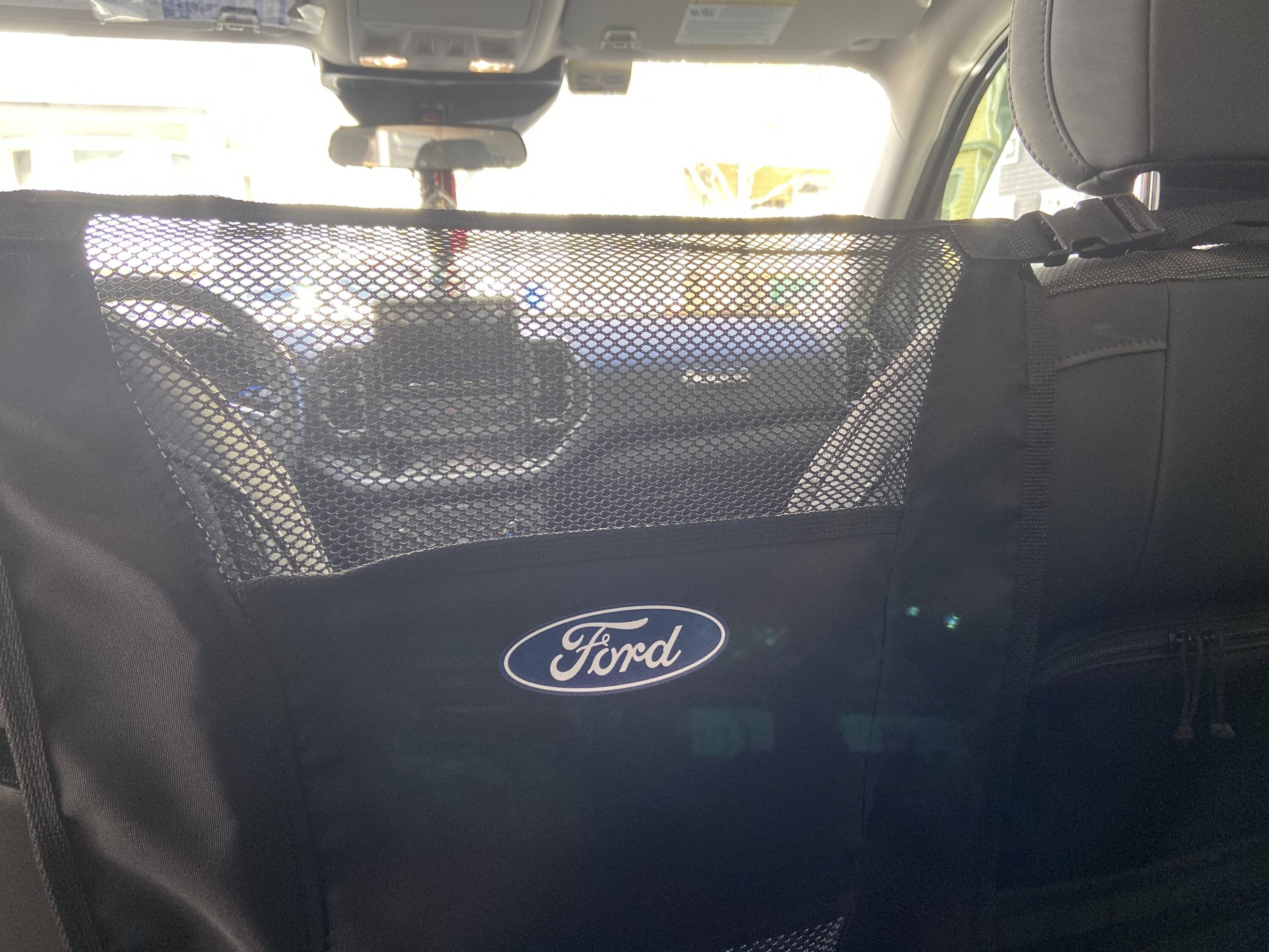 Ford Bronco Sport Show me your dogs!! FD10C519-0A20-4B2B-A631-77AC10DDD47B