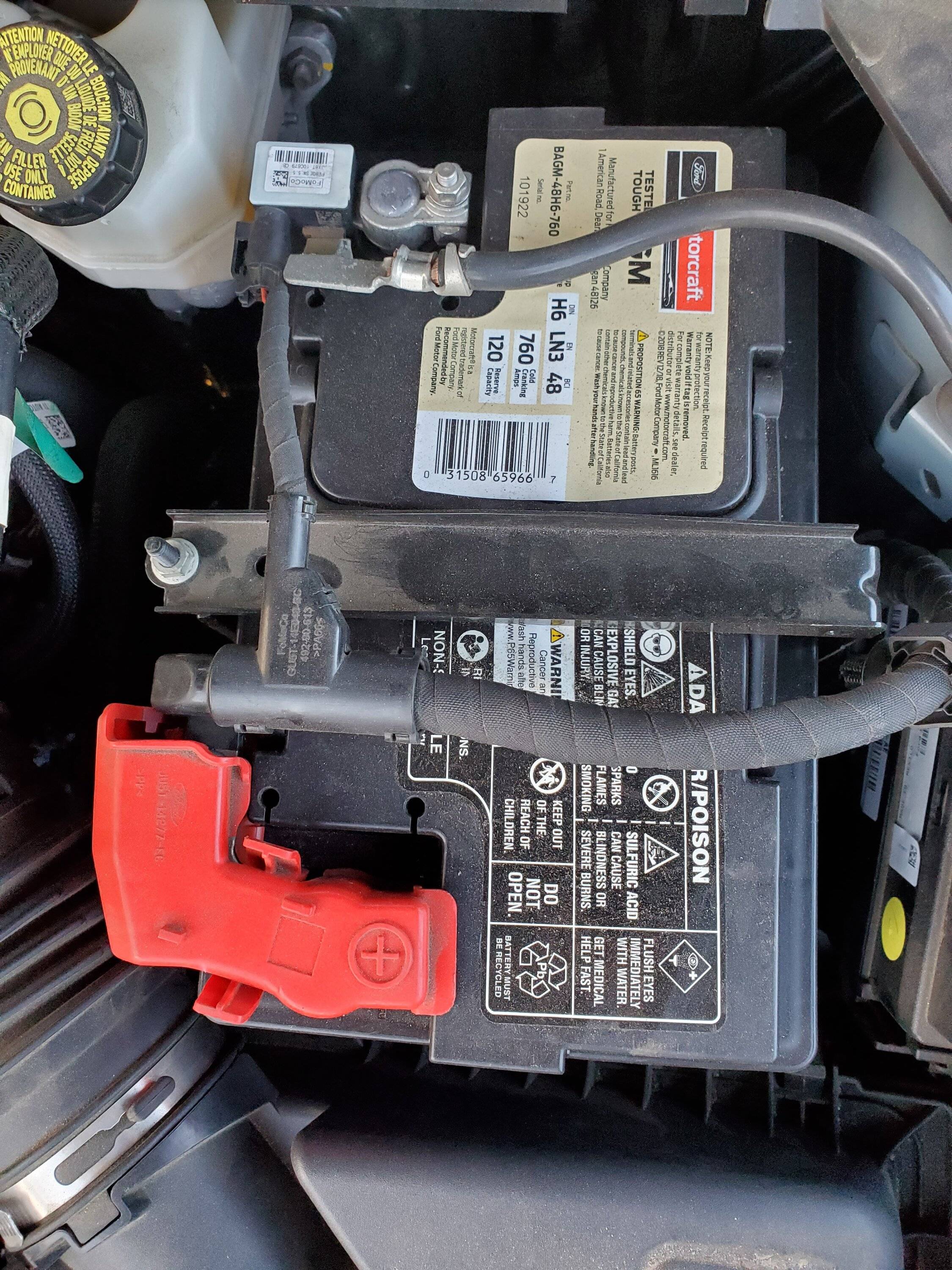 Ford Bronco Sport Regular Lead-Acid or AGM Battery? 20230312_181652