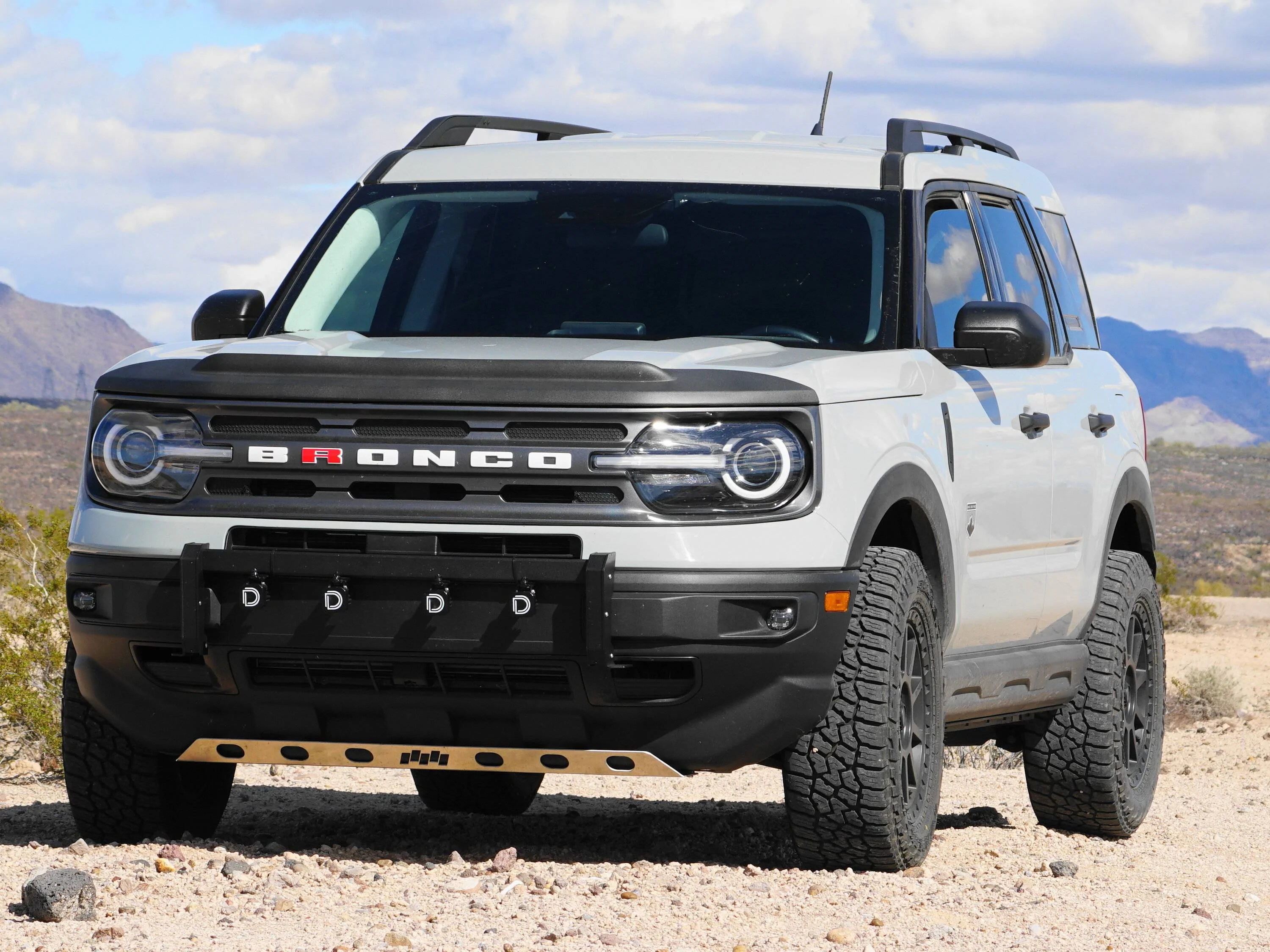 Ford Bronco Sport Color for emblems on Cactus Gray? DSC08738 (1)