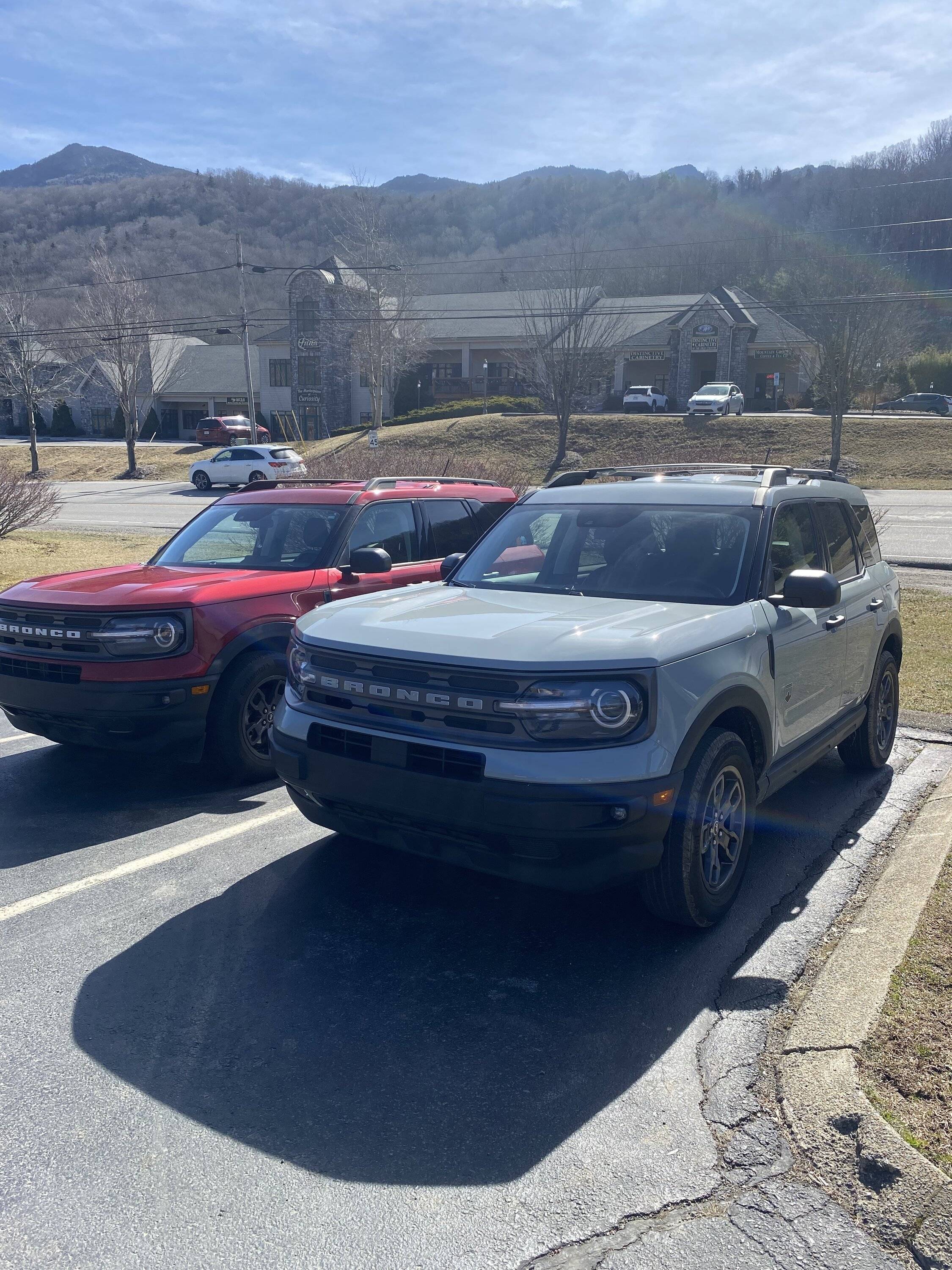 Ford Bronco Sport Color for emblems on Cactus Gray? A852BC8D-233C-4EDD-B9F8-4A94A4E4C4BD