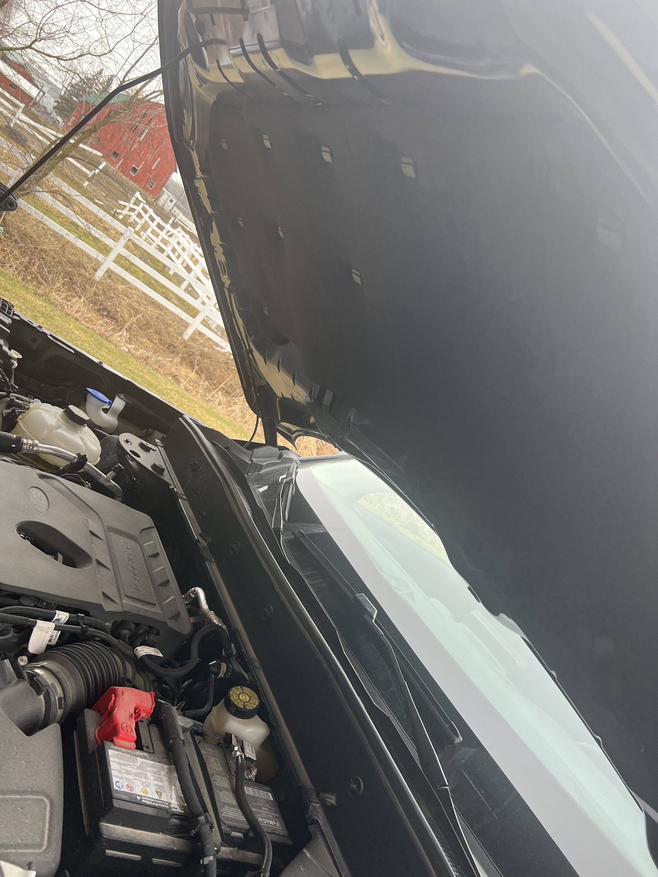 Ford Bronco Sport Hood insulator pad installed 23E6714E-1D88-4793-A1AB-B288F851E263