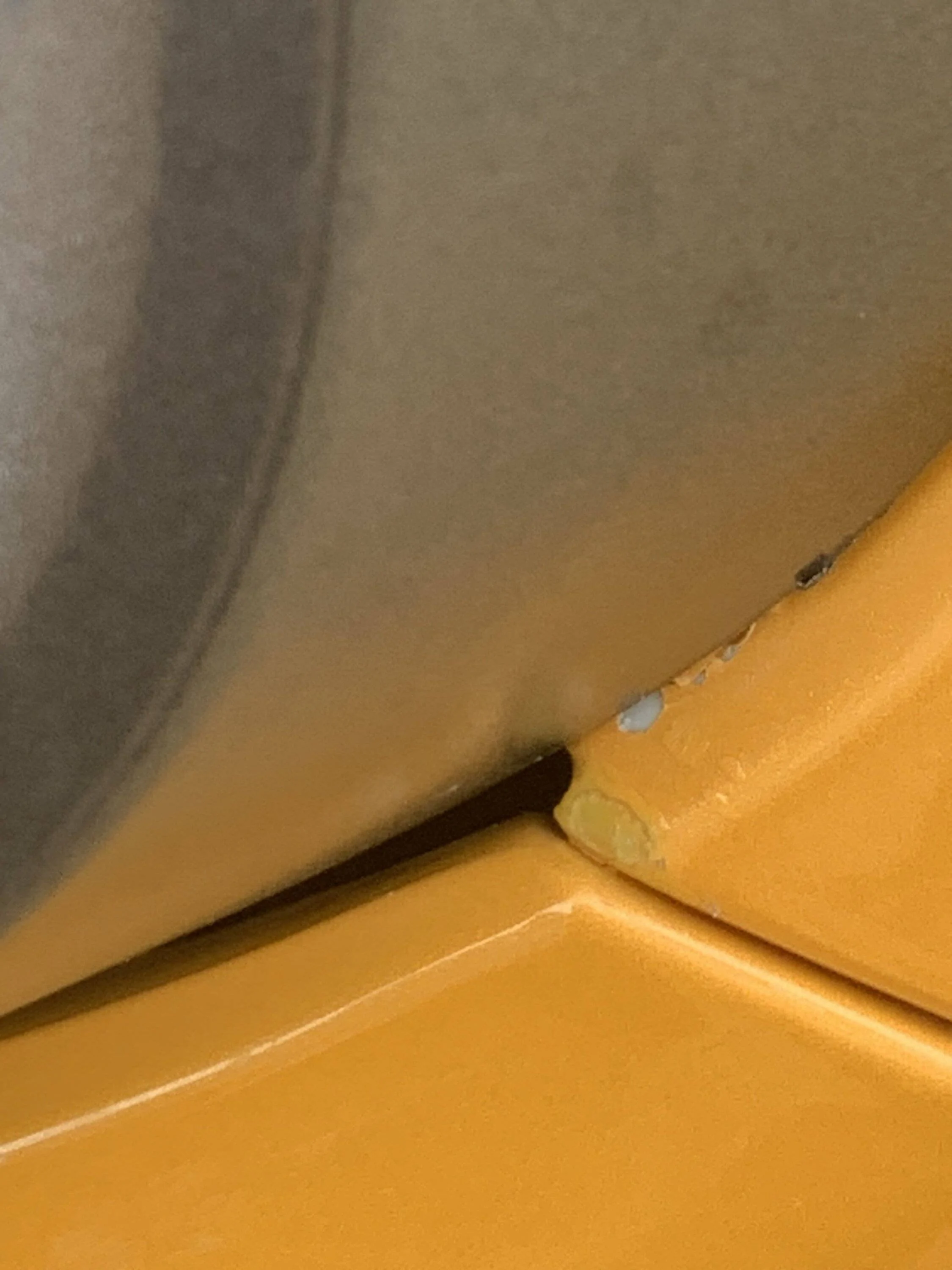 Ford Bronco Sport Paint chips IMG-7731