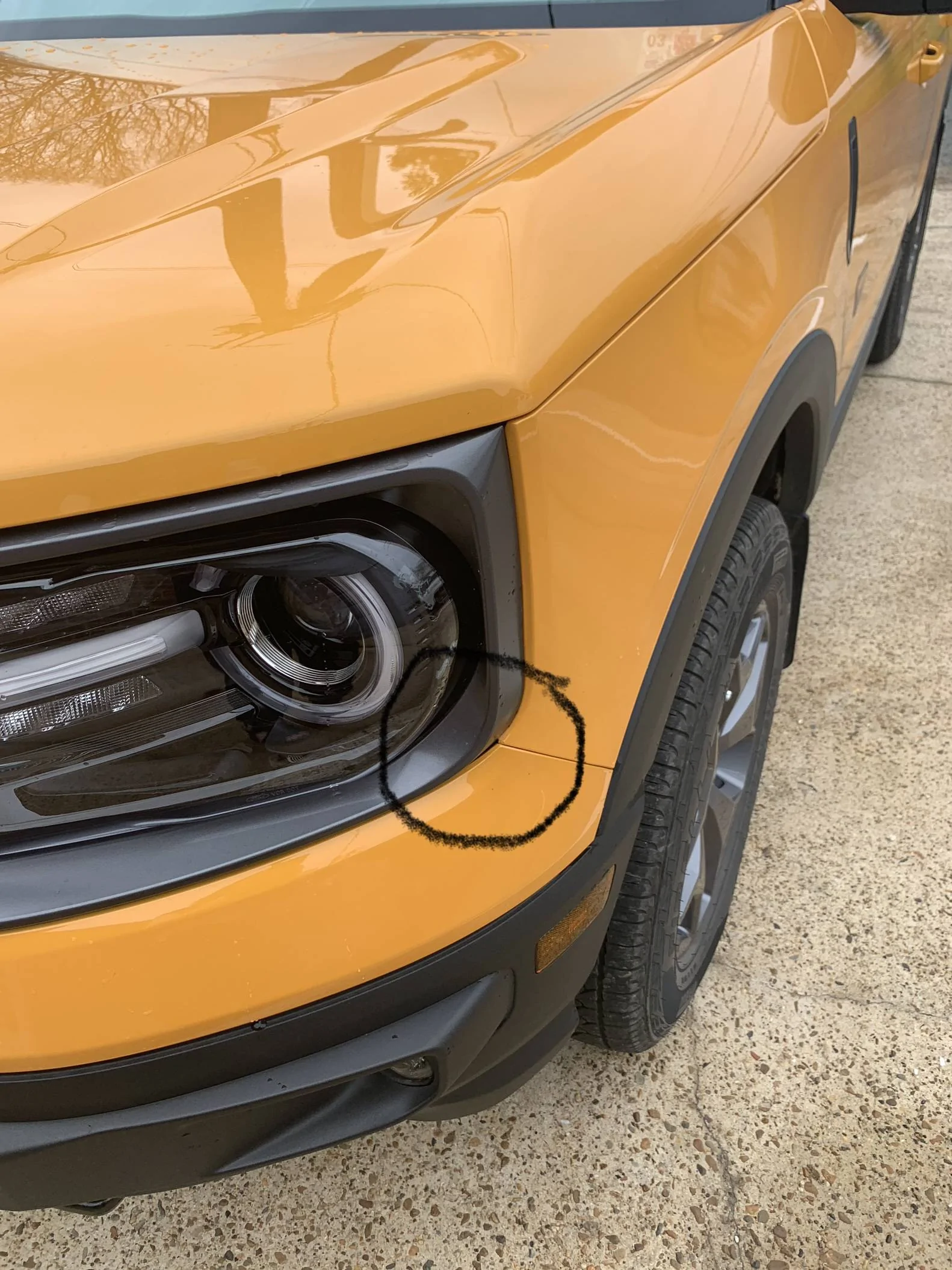 Ford Bronco Sport Paint chips IMG-7733