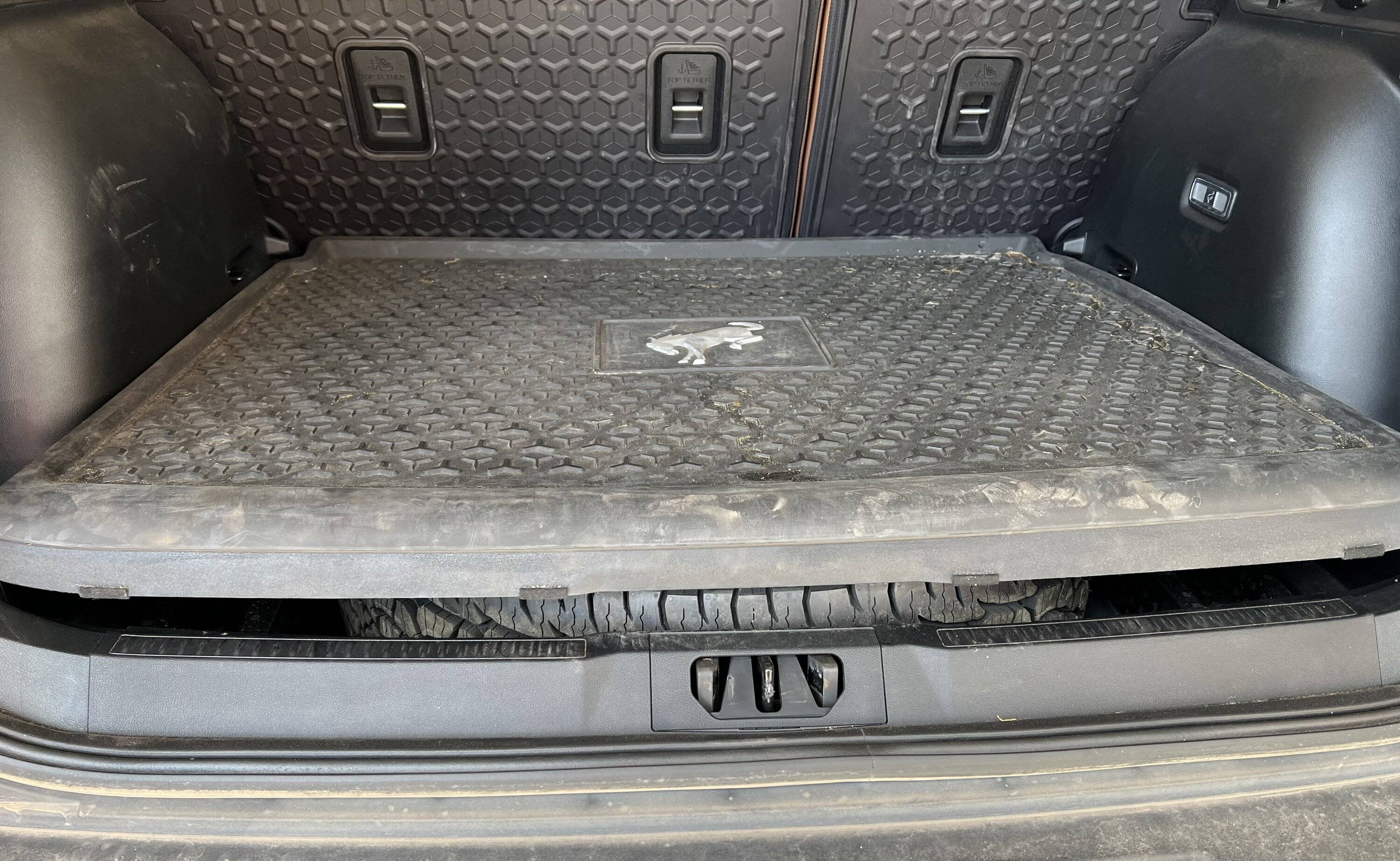 Ford Bronco Sport Olive - Meanderthal’s BS BL CF14AB6A-A1A6-4C61-9B6D-5FA27CFA8DD9