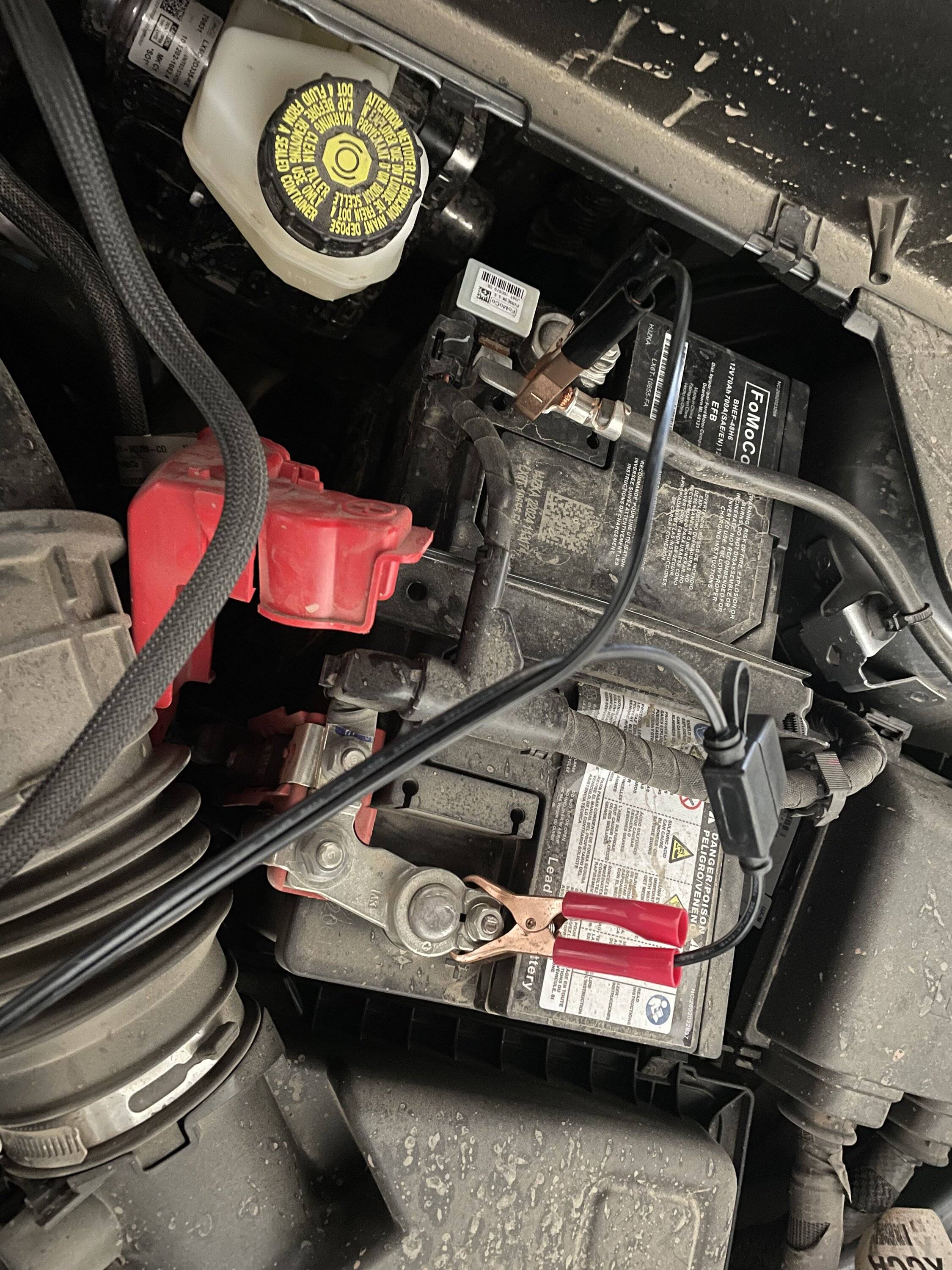 Ford Bronco Sport Regular Lead-Acid or AGM Battery? 1A6186A4-CA7B-469D-AE0C-A4686DF6B4C2