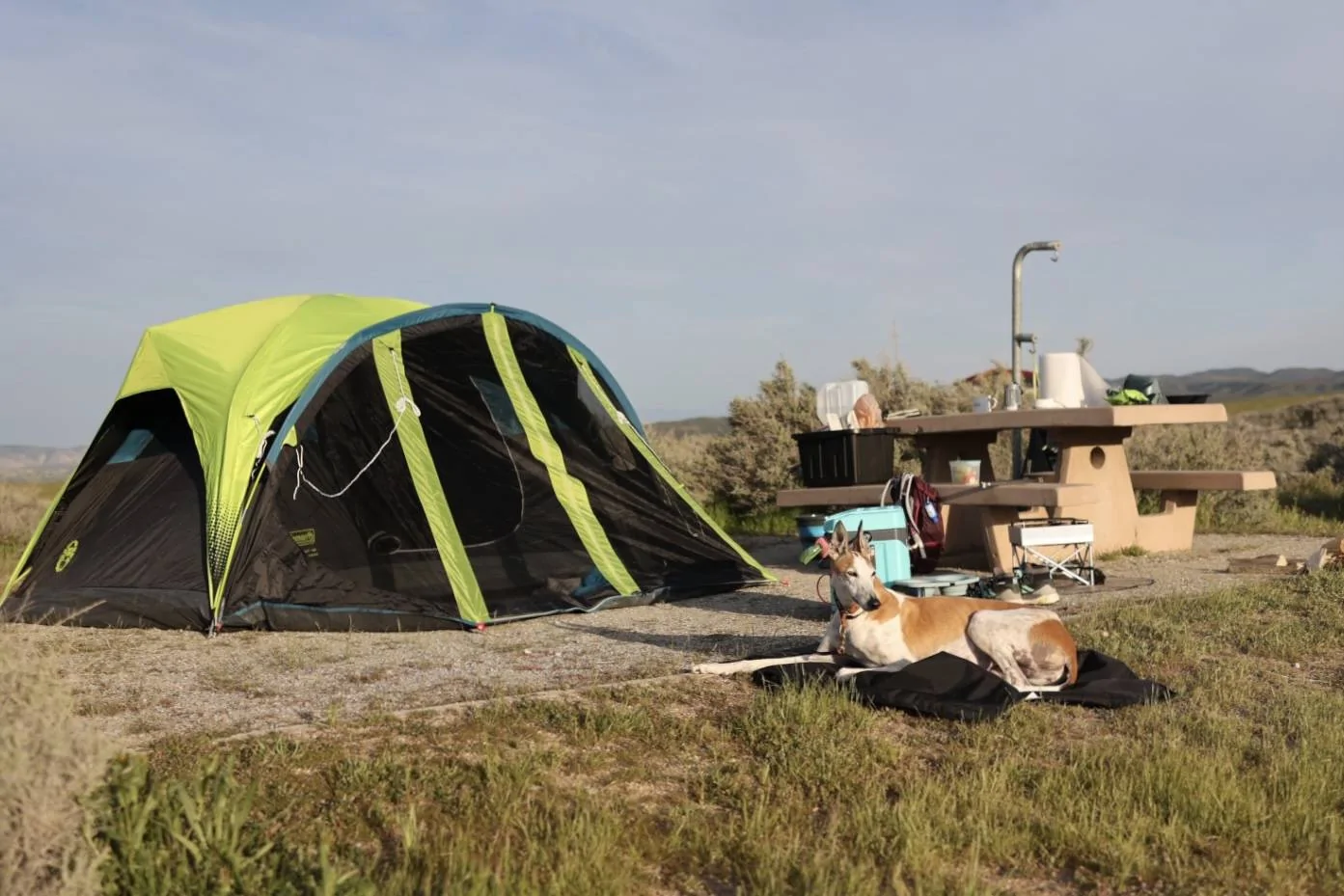 Ford Bronco Sport CA Wildflower Season Trip 83EBE257-C52B-4D9E-B507-31295F766932