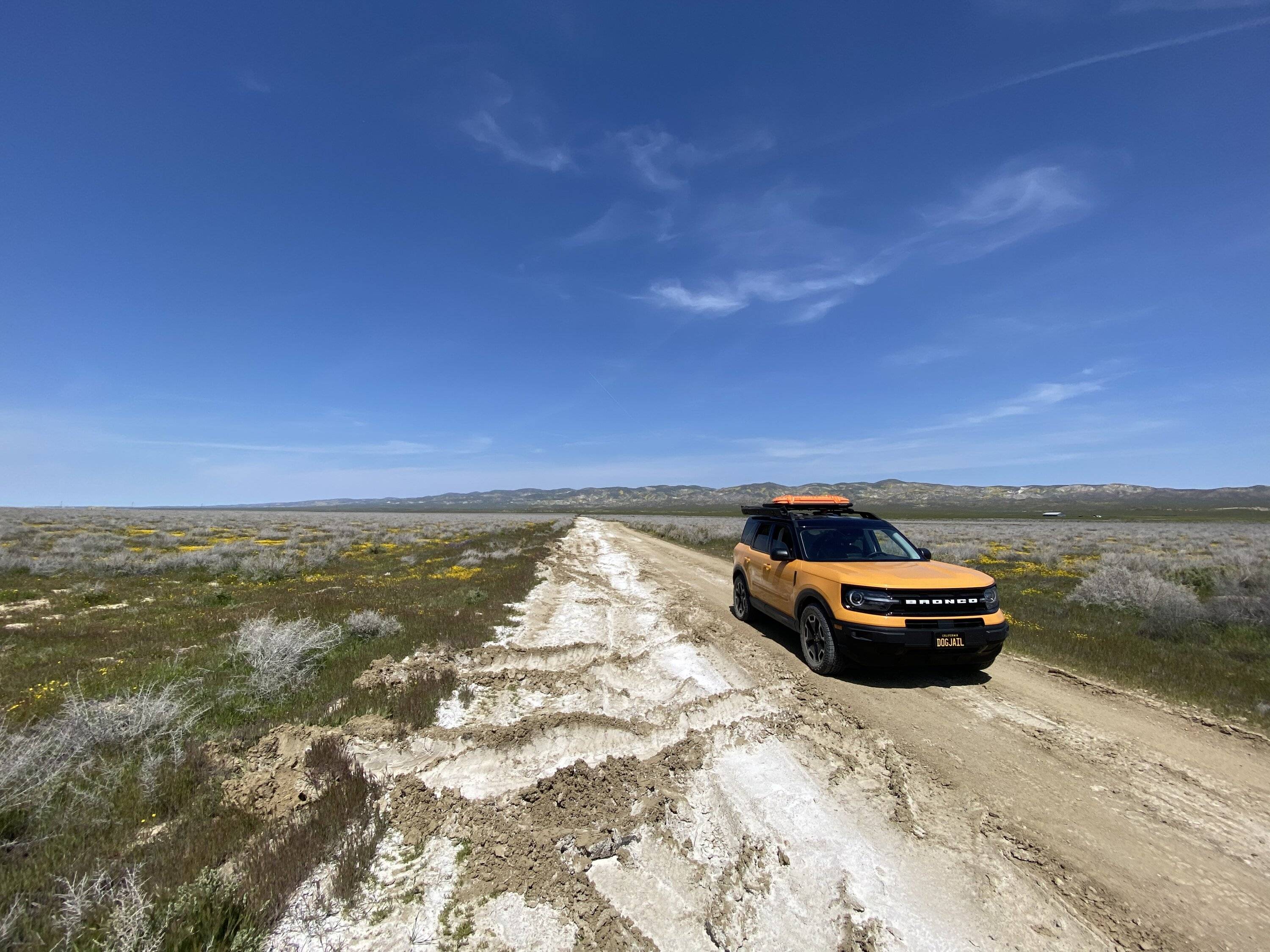 Ford Bronco Sport CA Wildflower Season Trip EC698B04-3484-4B44-A564-BF2917DECD5A