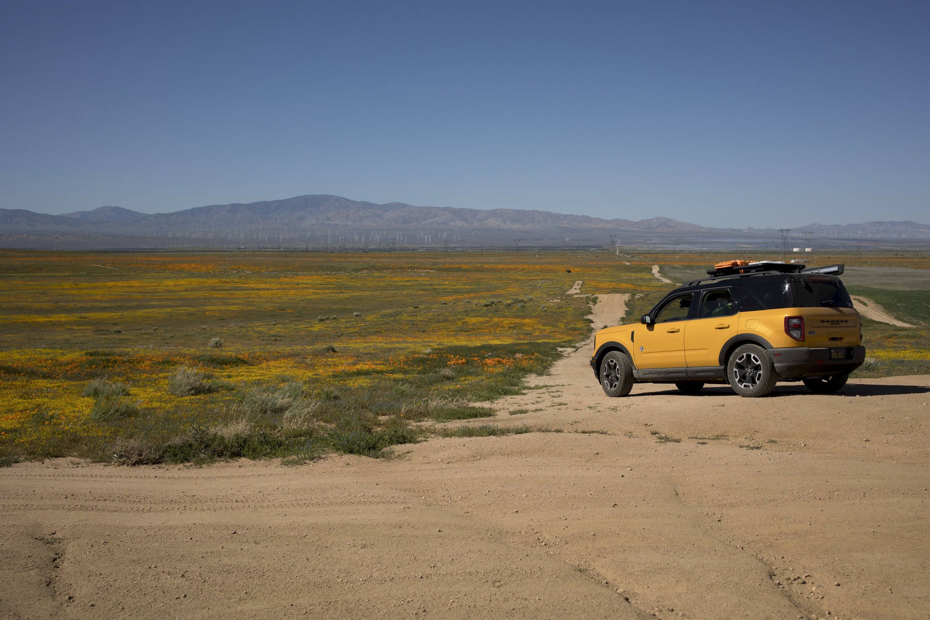 Ford Bronco Sport CA Wildflower Season Trip A643FCD8-0AF3-4101-AA54-82D4594D9E4E