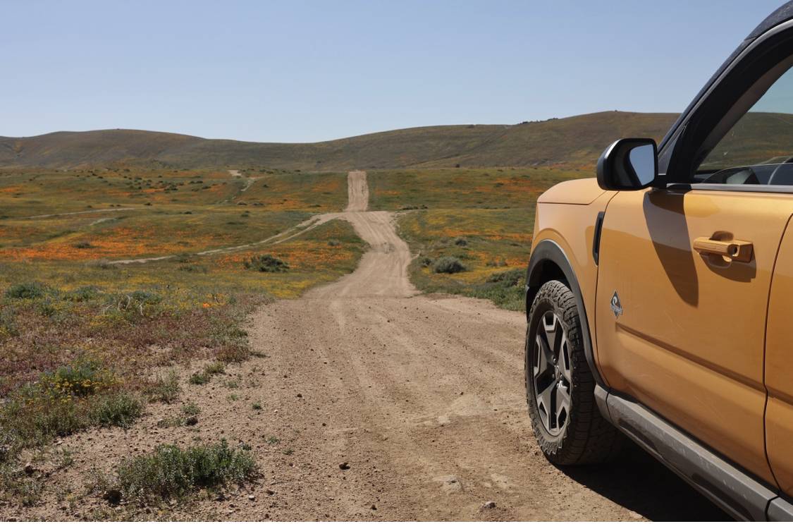 Ford Bronco Sport CA Wildflower Season Trip E6EE82B3-7DEA-4FC3-B4E9-D4BE1AE2A39F