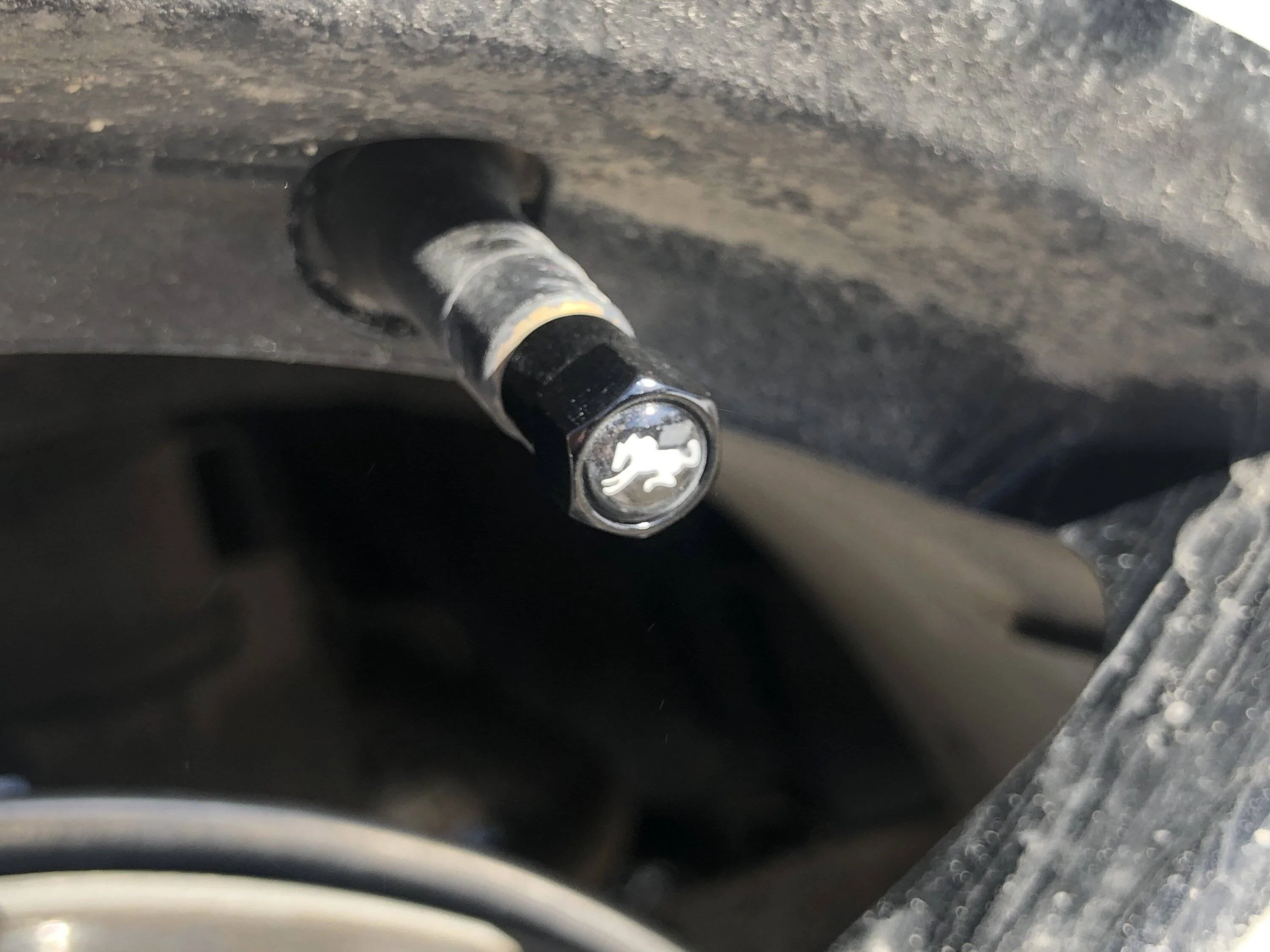 Ford Bronco Sport What did you do TO your Bronco Sport today? IMG_5012