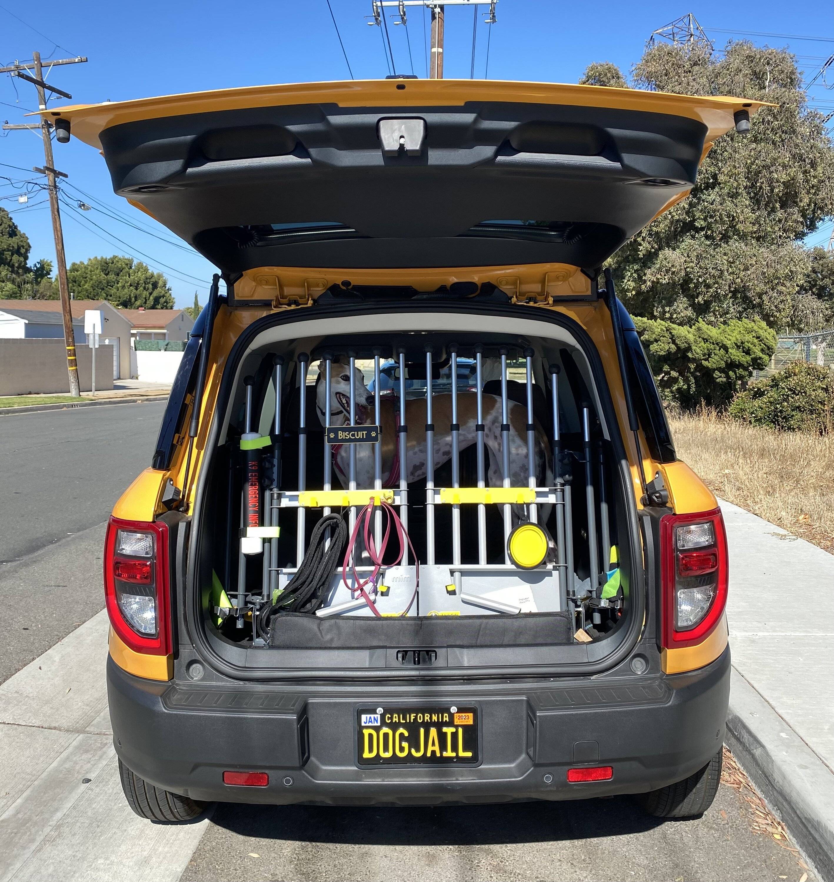 Ford Bronco Sport Best Dog Cargo Setup? CEA78317-14AF-4E08-A815-6C8B4FF00D3C